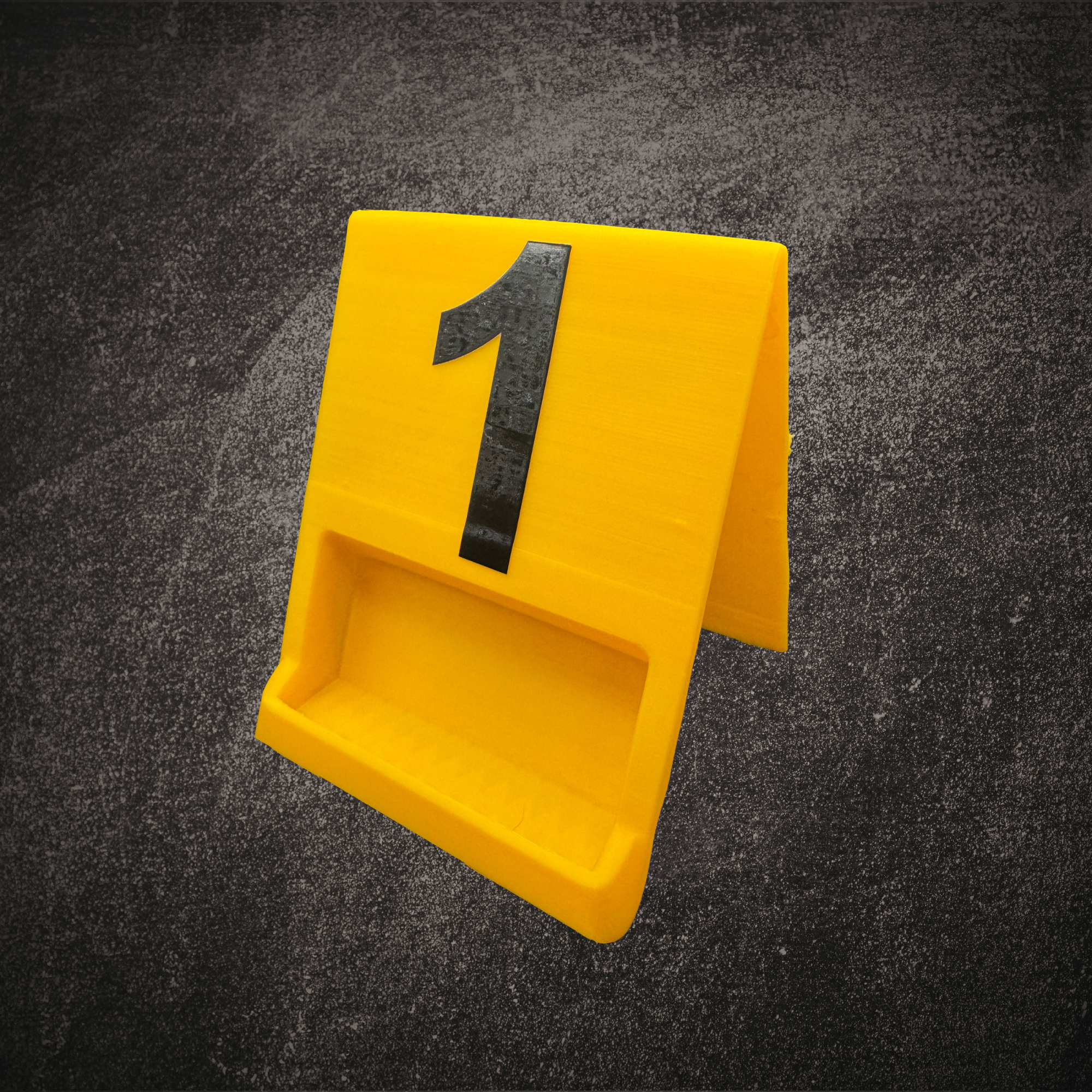 Evidence Placard Mockup 2.png