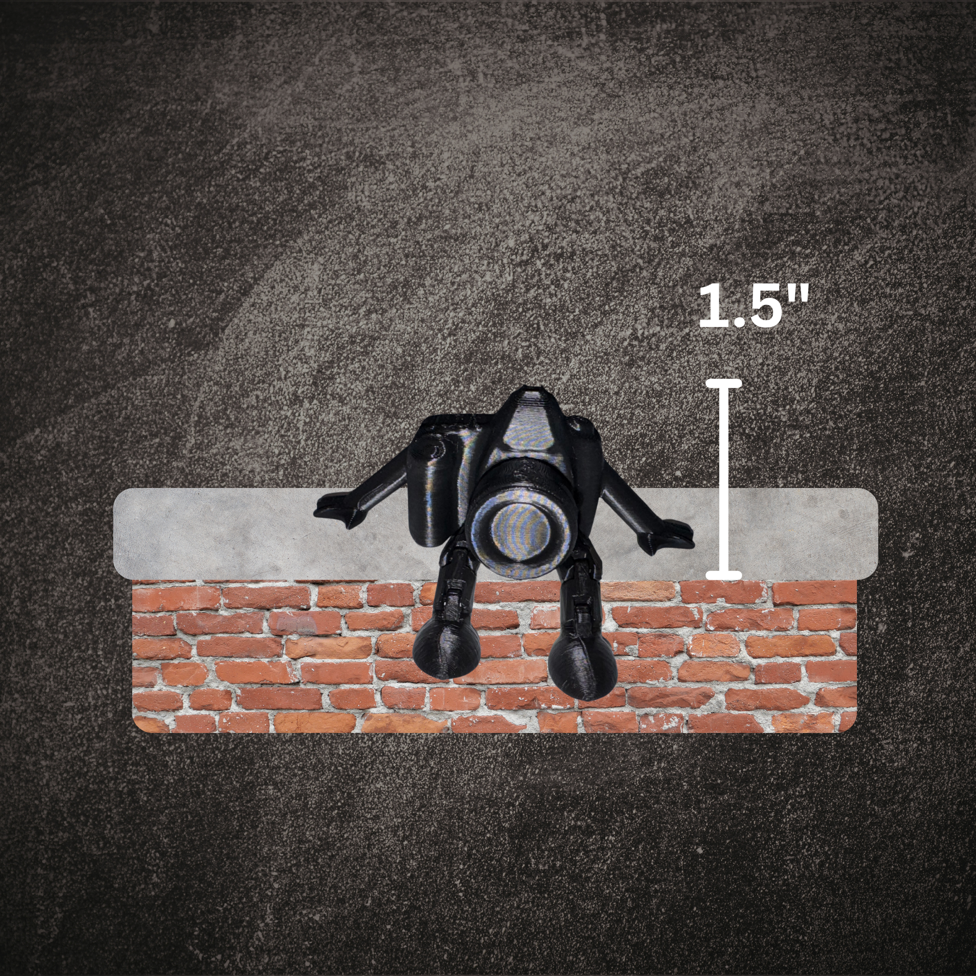 Camera Buddies Mockup Size.png