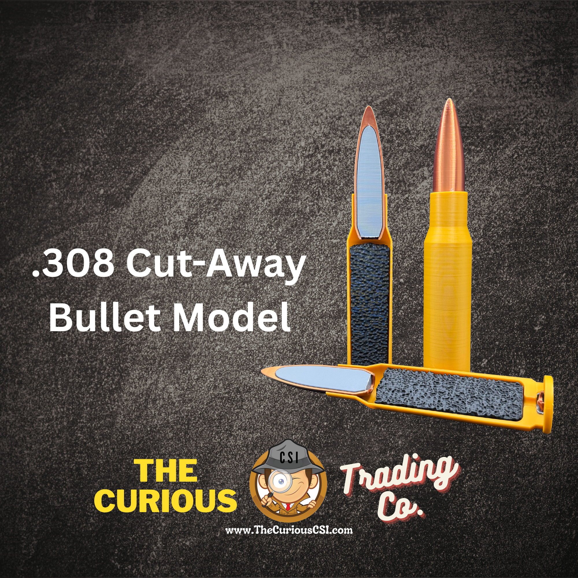 Cut-Away .308 Bullet Model
