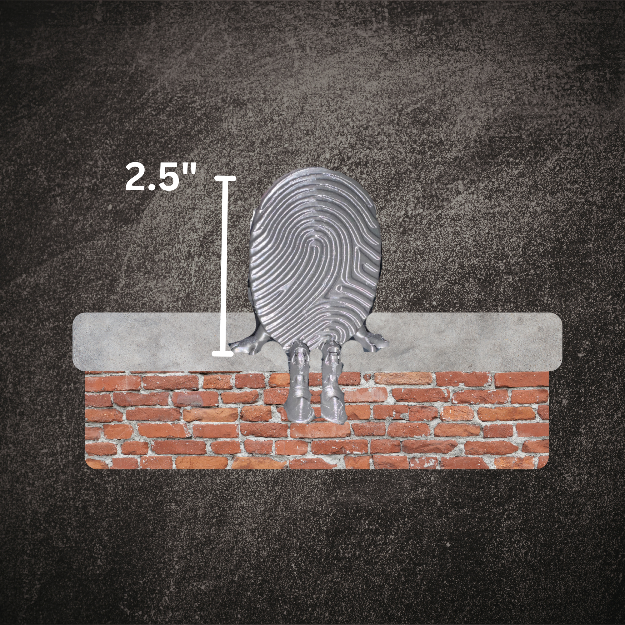 Fingerprint Buddies Mockup Size.png
