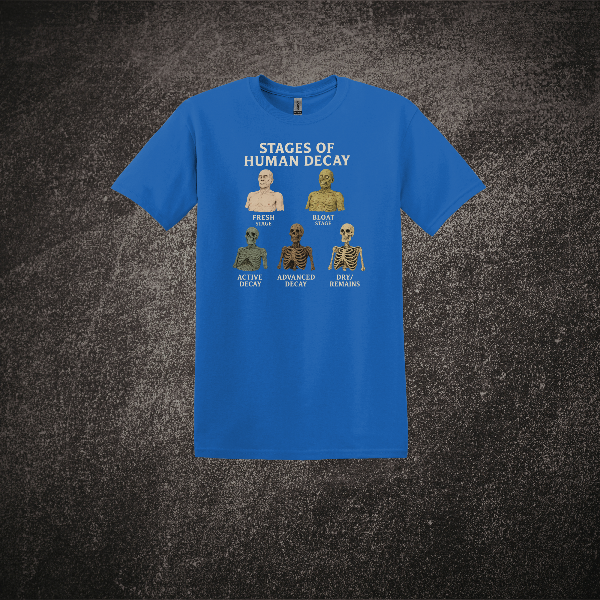 Stages of Human Decay - SS Tee Royal.png