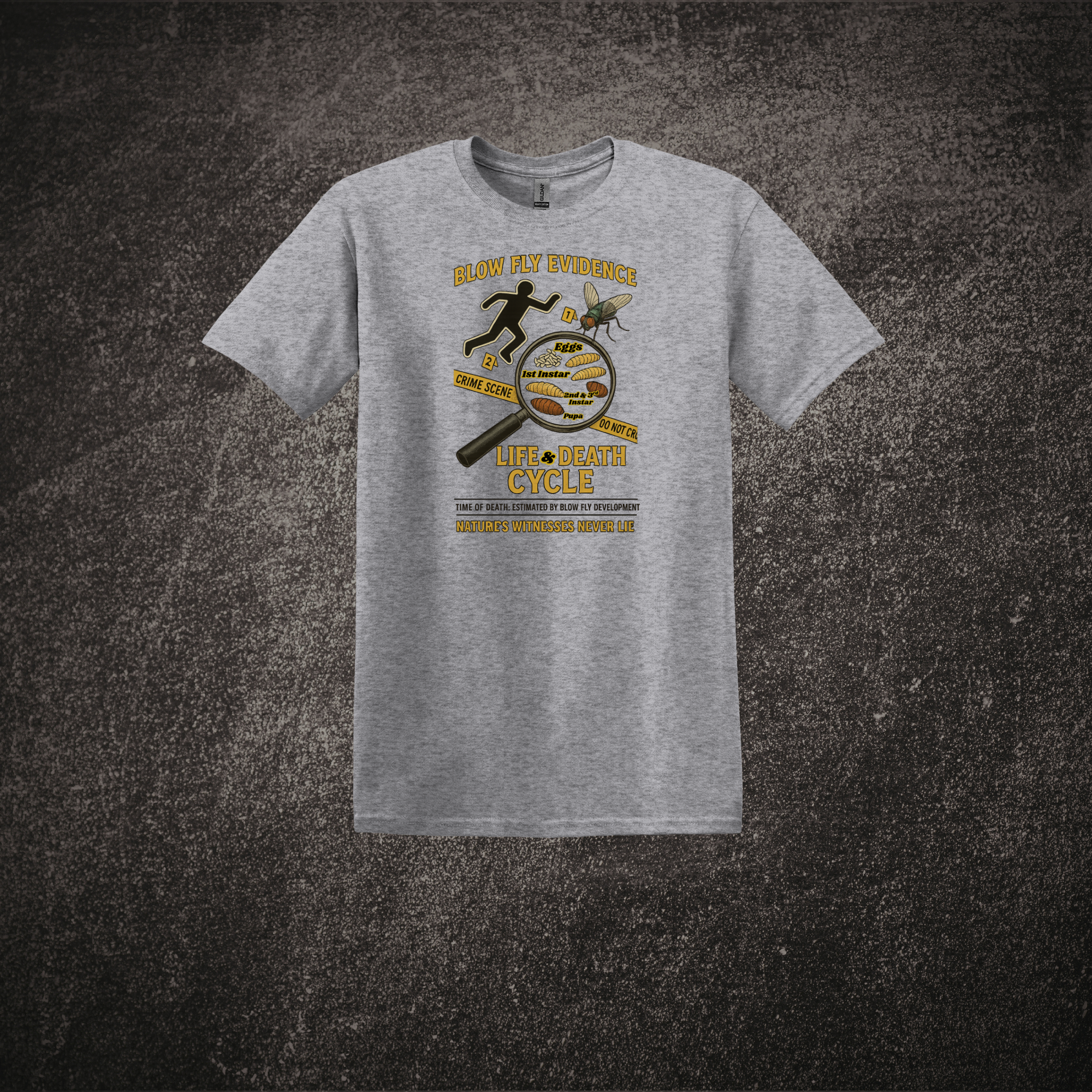 Life Cycle of a Blowfly - SS Tee Sport Gray.png