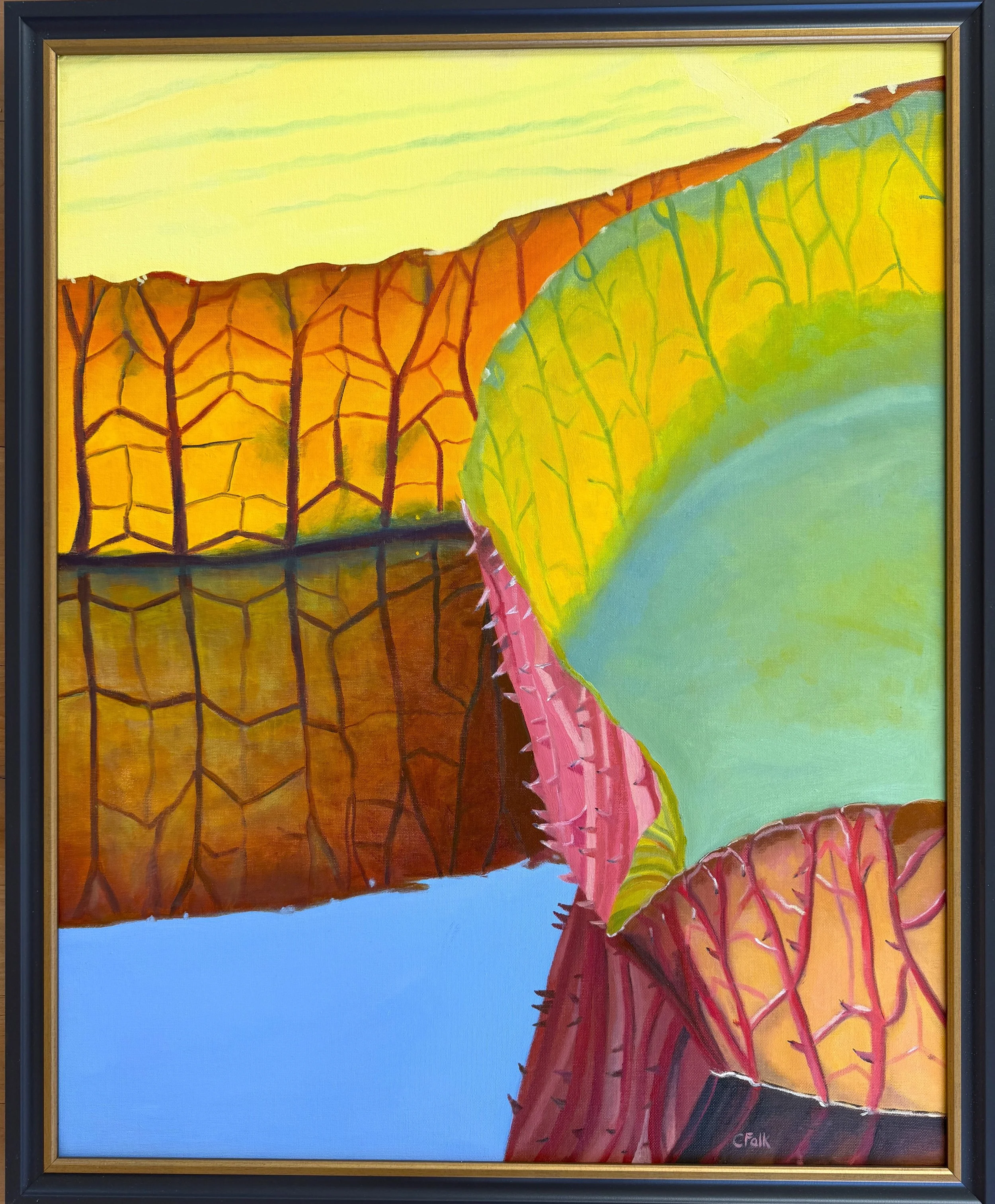 Cfalk_Victoria amazonica - CONNIE FALK.JPG