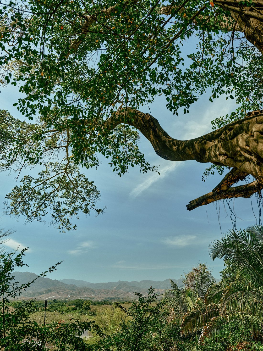 rwmdr-destination-vista.jpg