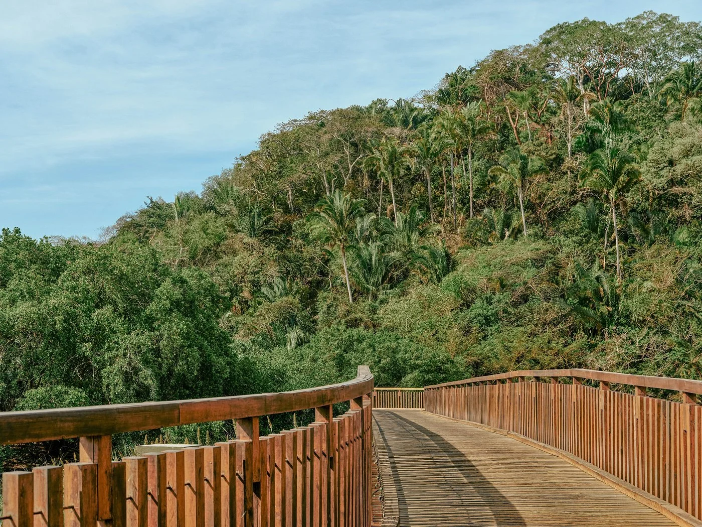 rwmdr-destination-bridge.jpg