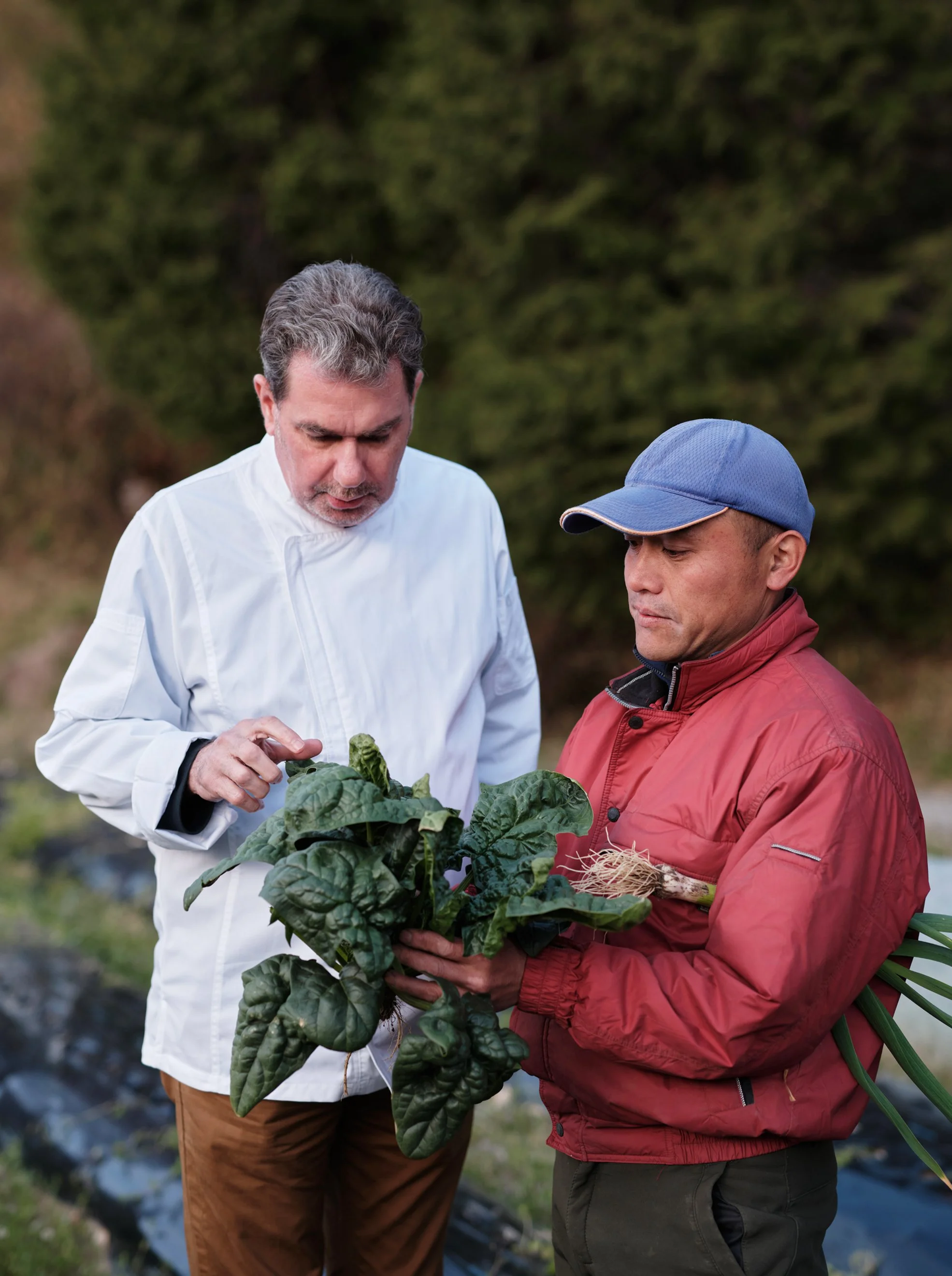 51-chef-and-grower-examining-produce.jpg