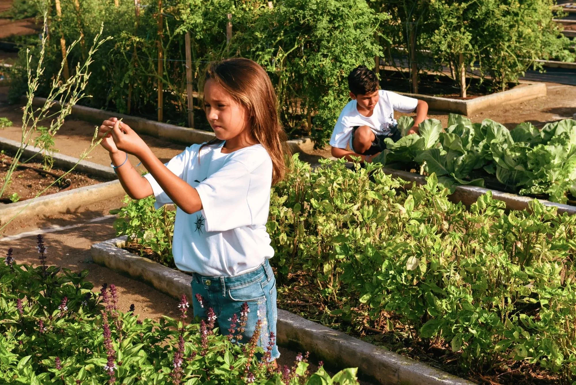 46-rosewood-explorers-gardening-activity.jpg