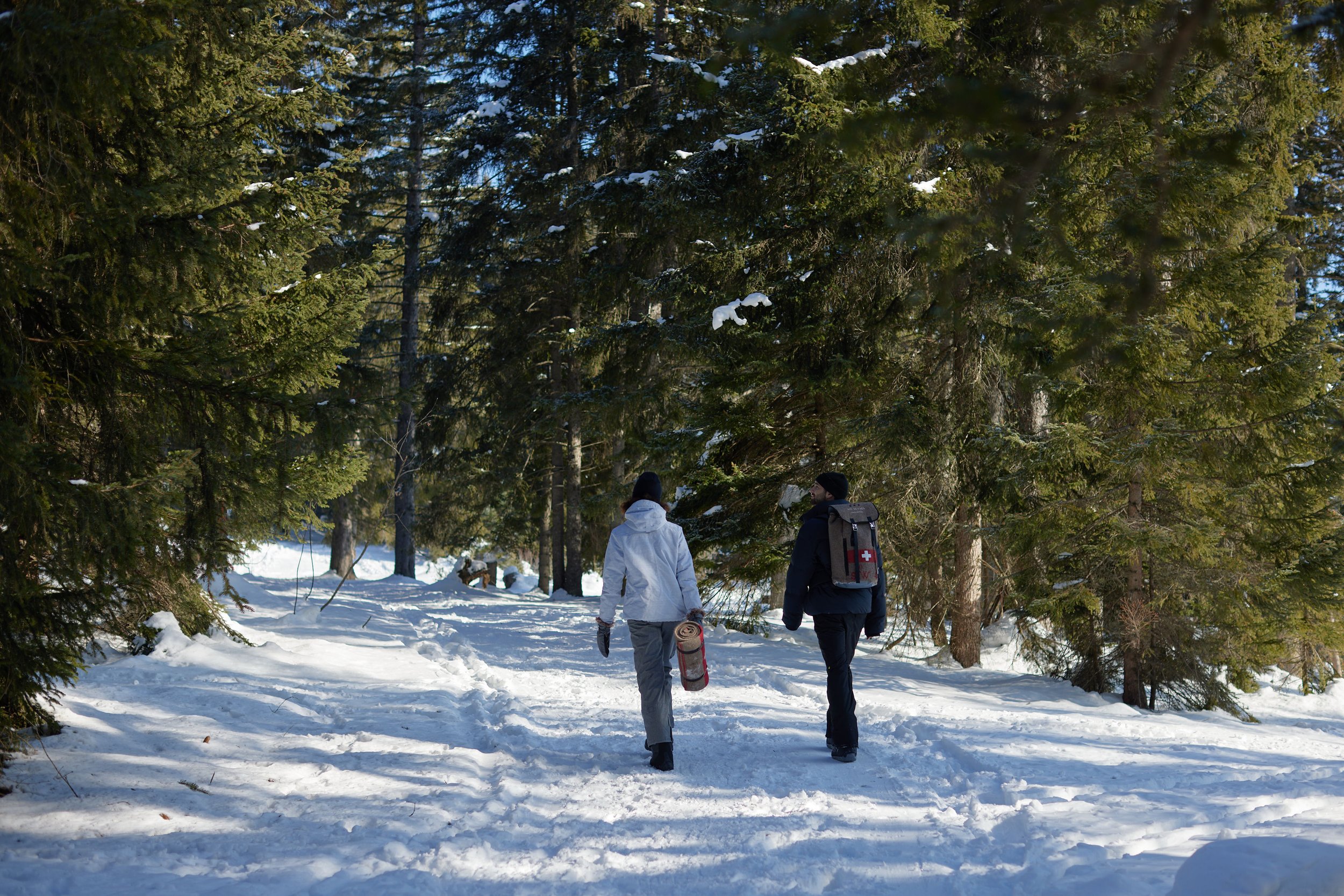 43-winter-woodland-walk.jpg