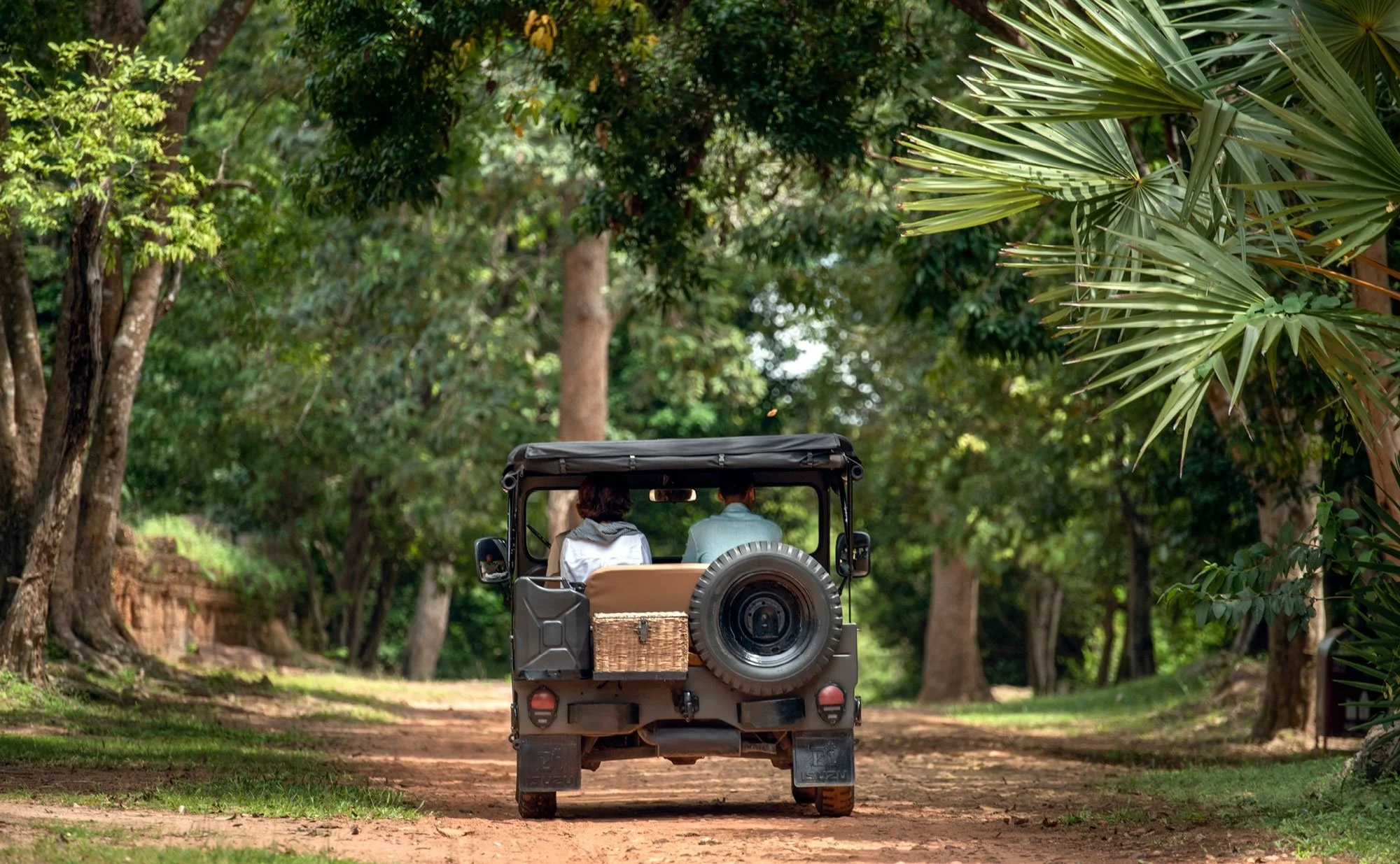 30-vintage-jeep-on-a-tree-lined-road.jpg