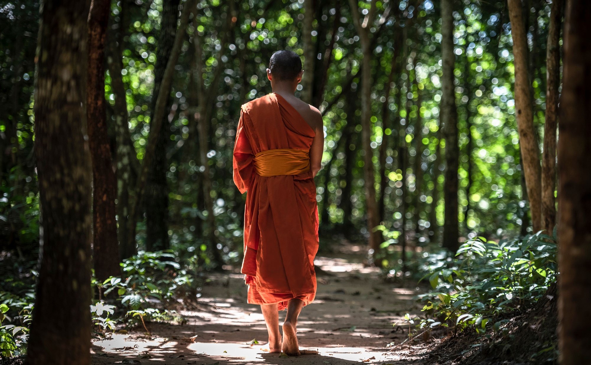 31-buddhist-monk-on-a-forest-path.jpg