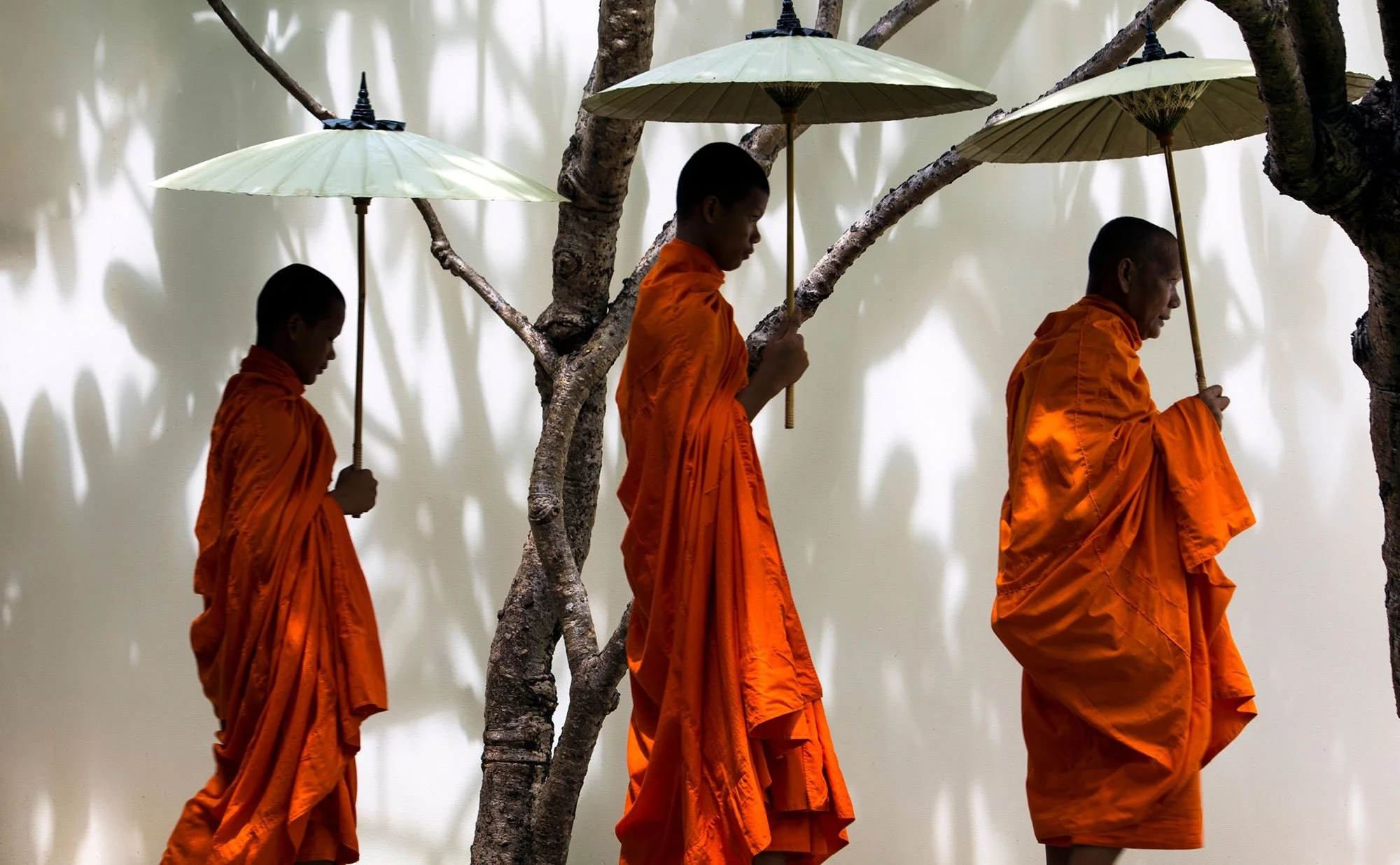 35-monks-walking-beneath-trees-beside-a-white-wall.jpg