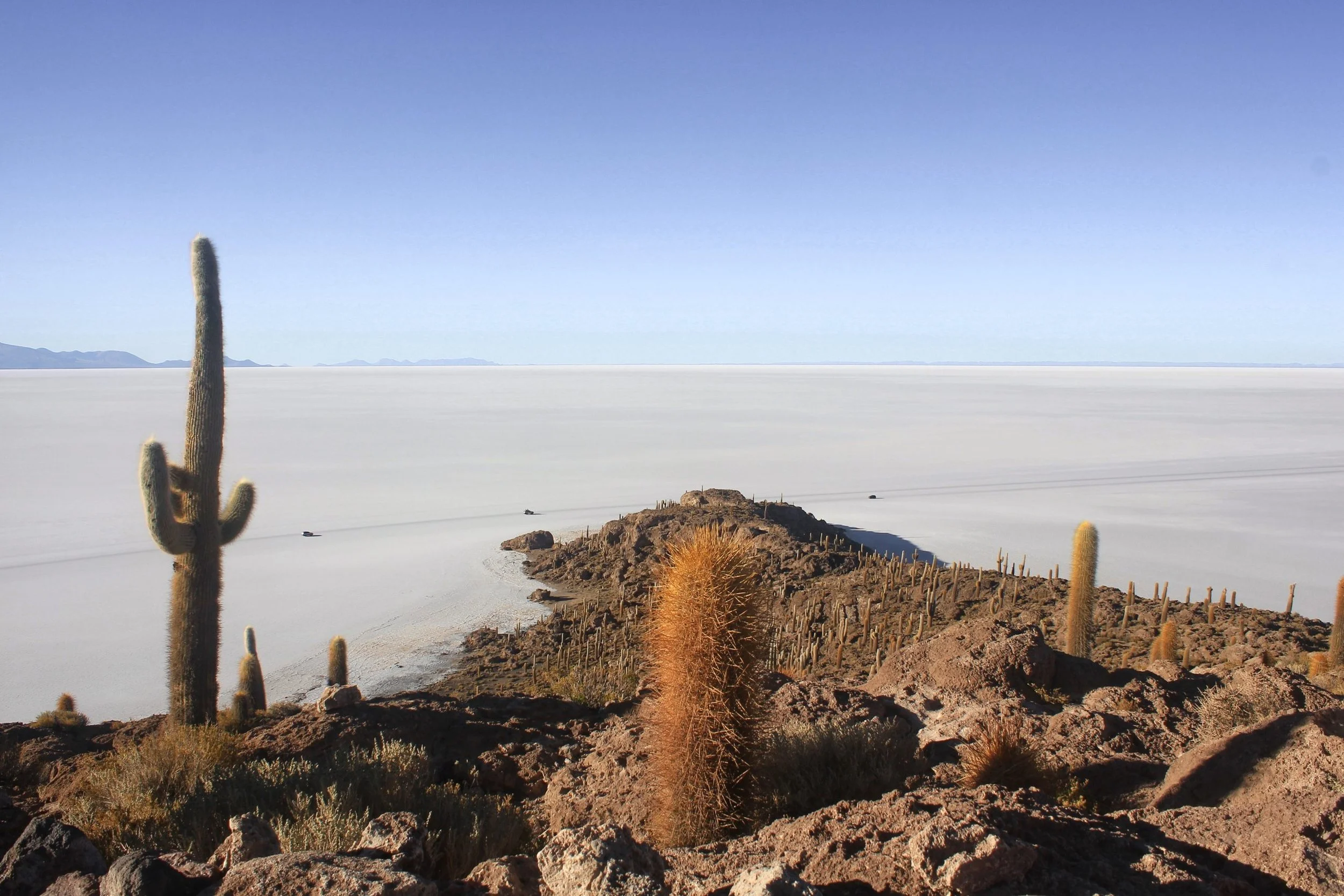 15-cacti-on-a-rocky-island-above-the-uyuni-salt-flats.jpg