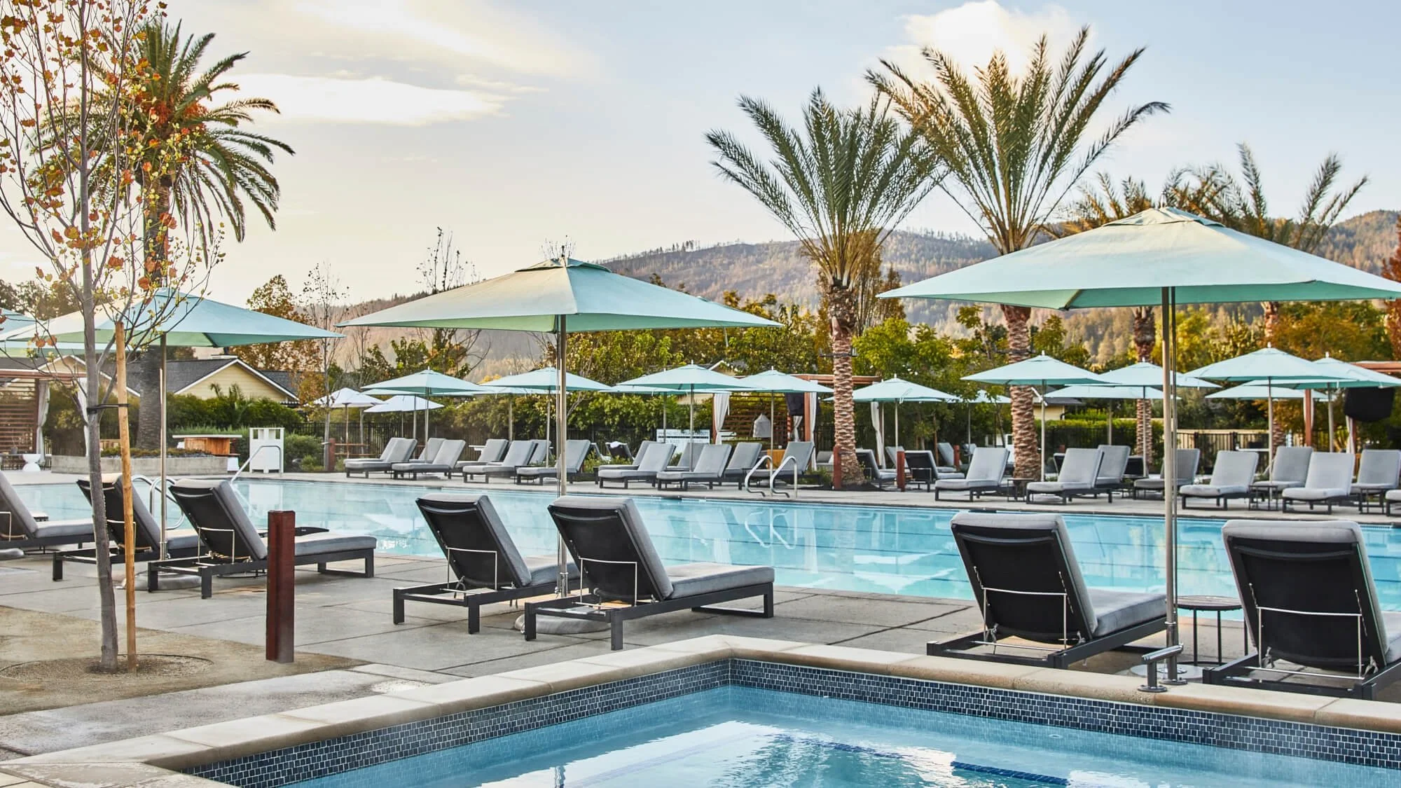 04-Palm-trees-and-loungers-beside-the-main-pool.jpg