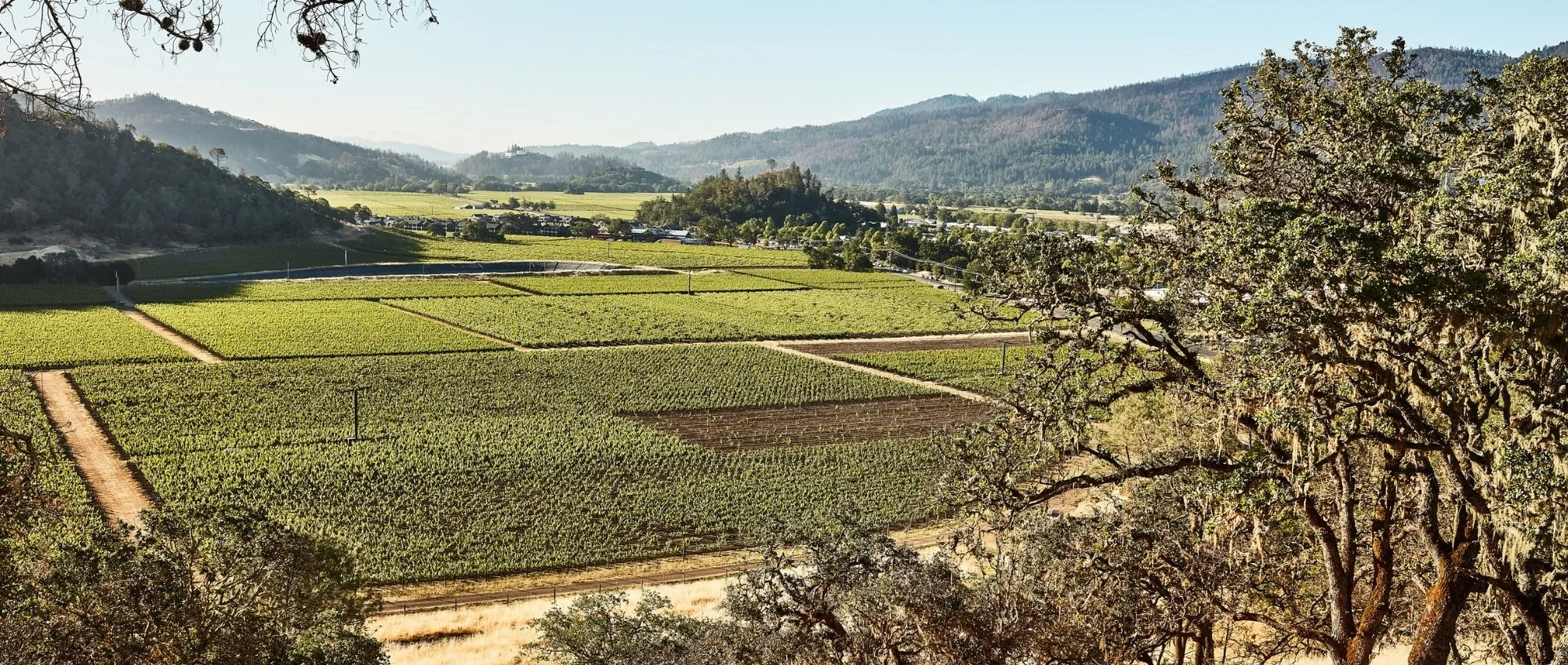 36-Vineyards-and-hills-in-Napa-Valley.jpg