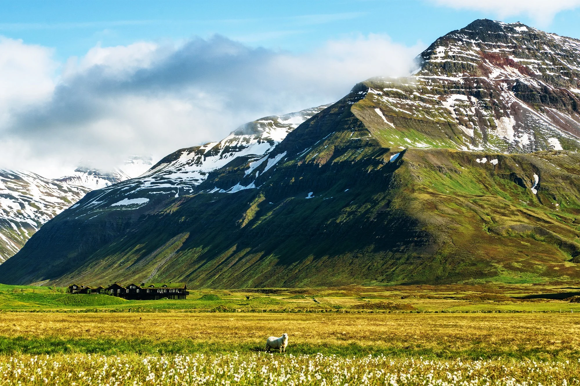 01-summer-valley-and-mountain-setting.jpg