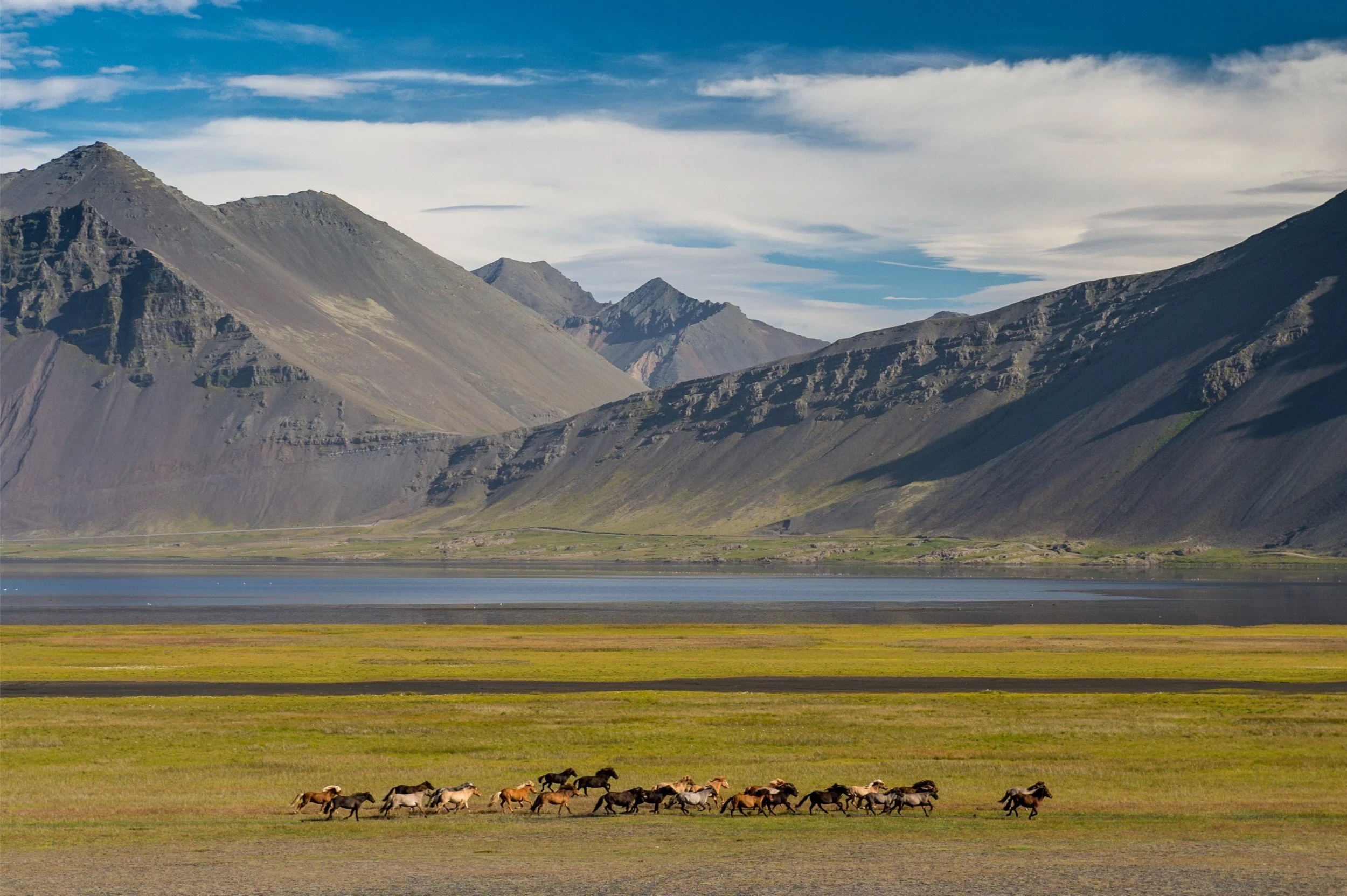 34-horses-in-an-icelandic-valley.jpg