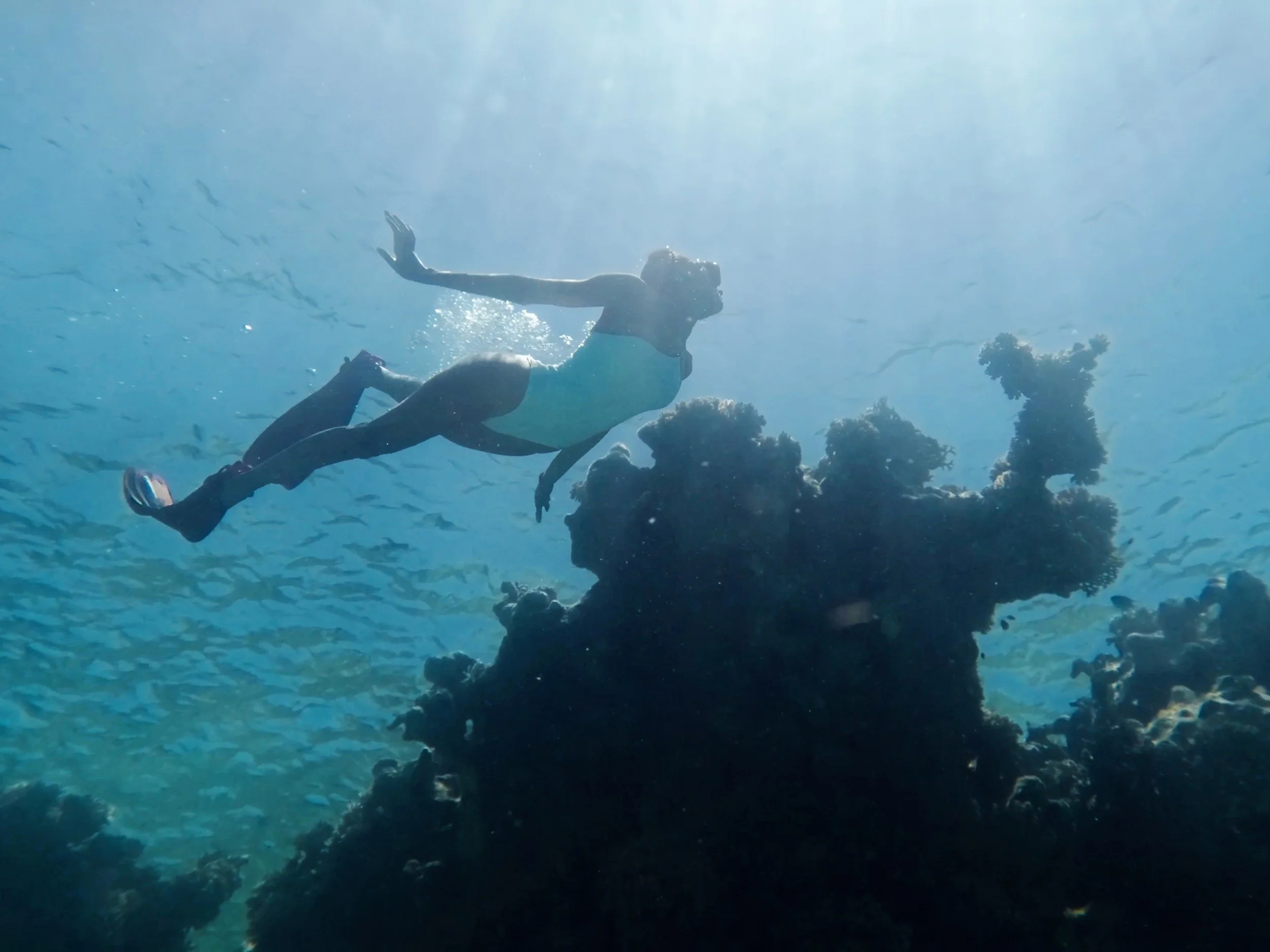 32-snorkeling-above-red-sea-coral-formations.jpg