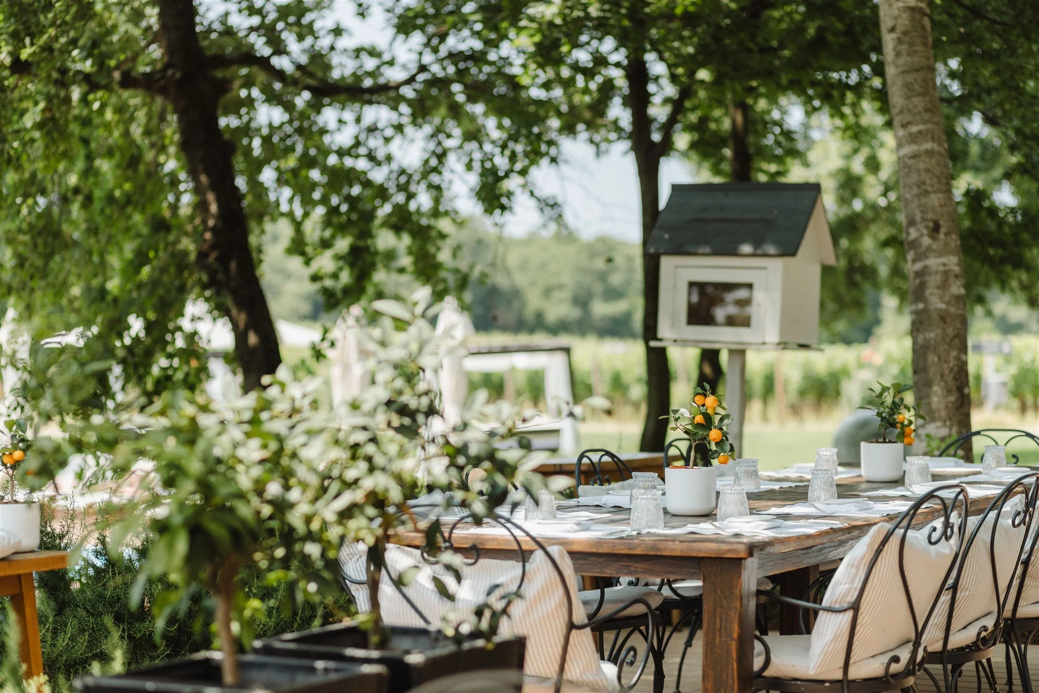 12-oliveto-restaurant-outdoor-dining-area.jpg