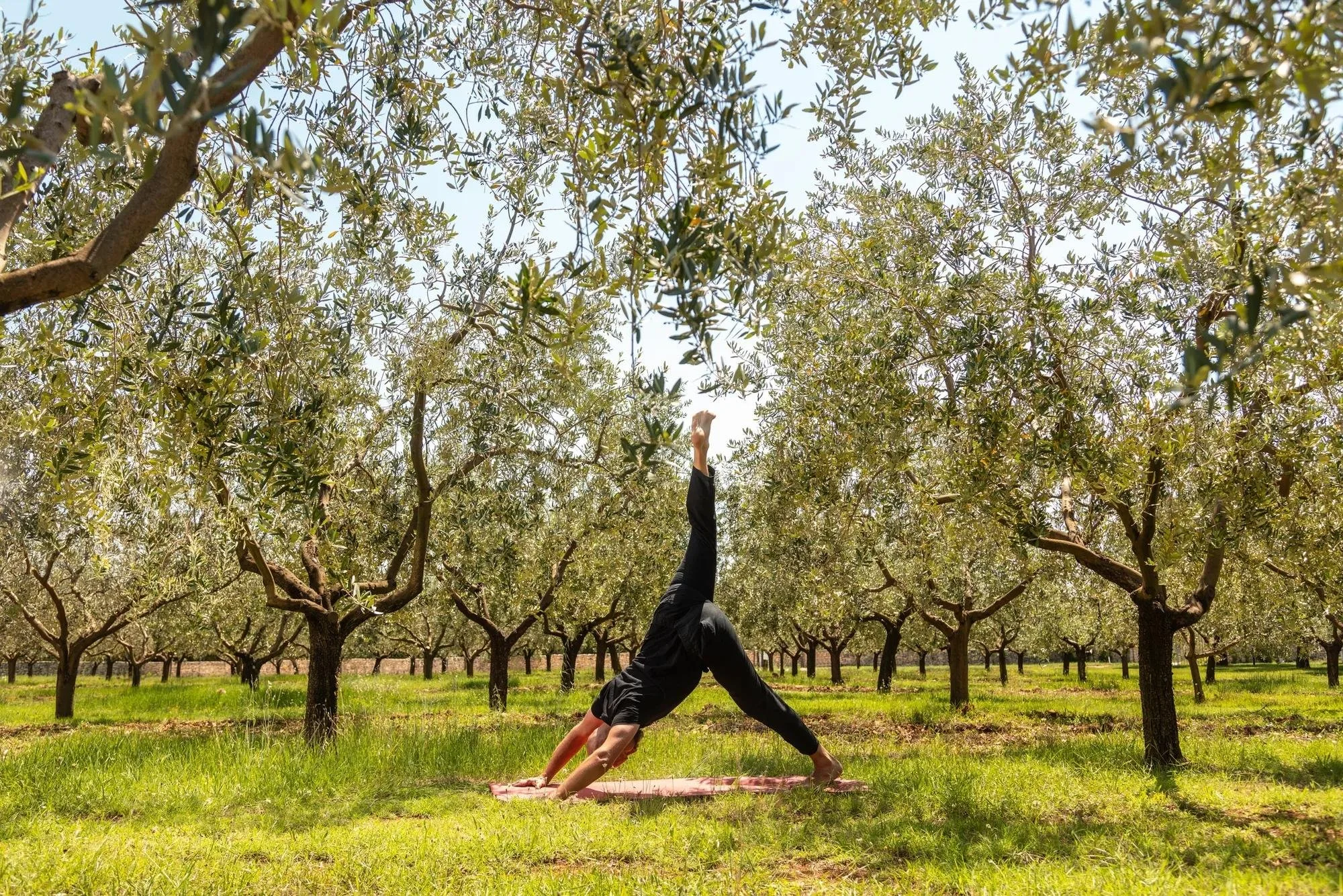 26-yoga-among-the-estate-olive-trees.jpg