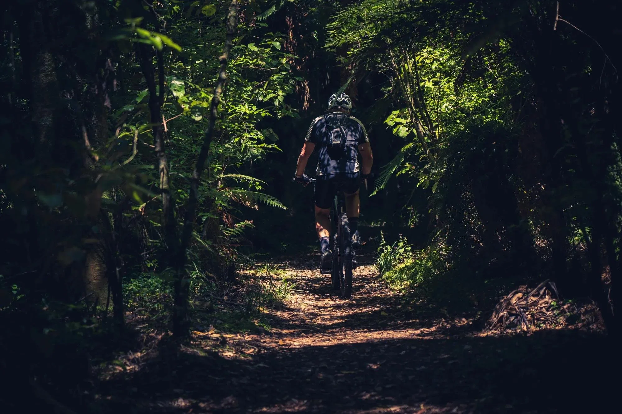 27-cycling-along-a-wooded-trail-in-the-surrounding-region.jpg