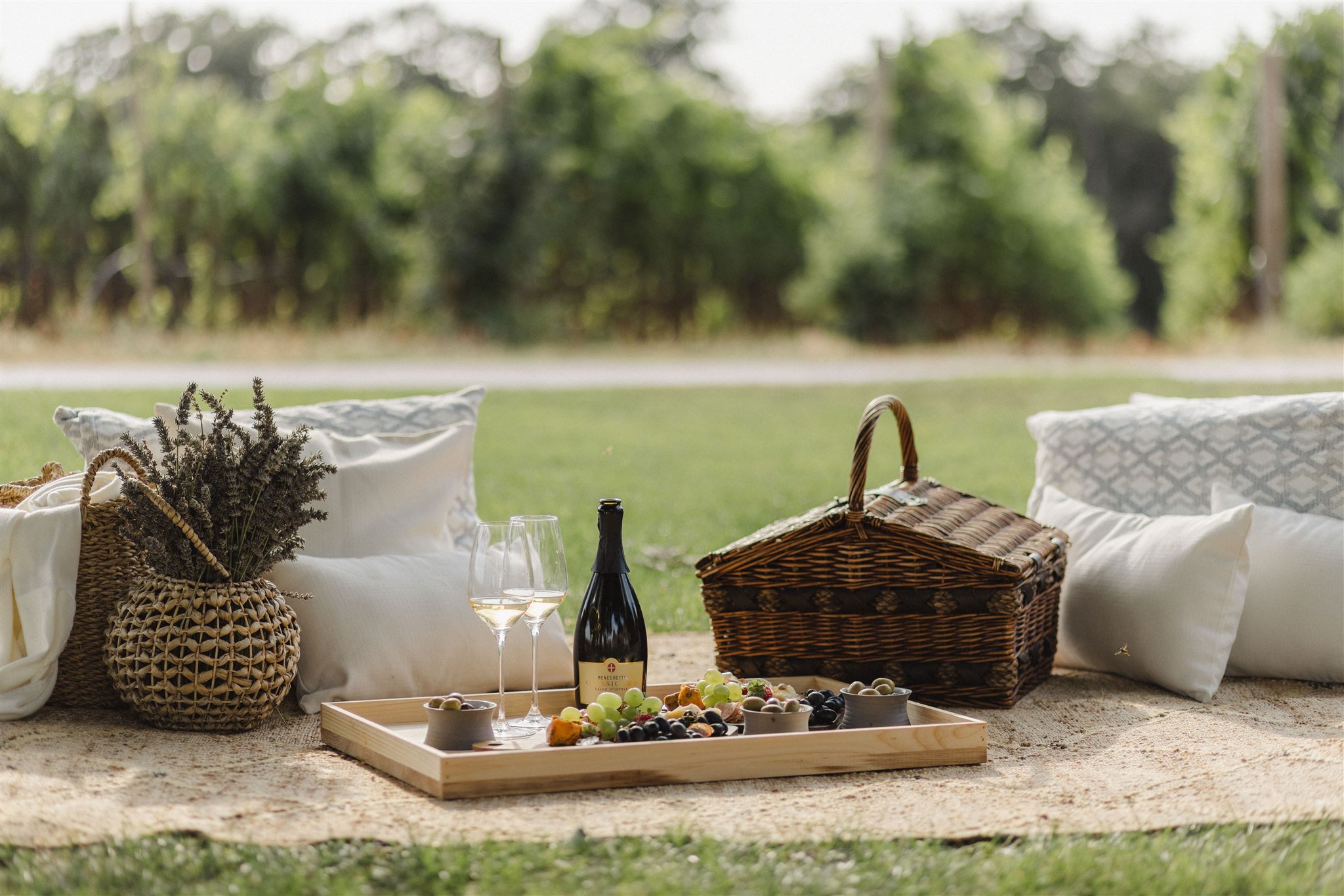 30-picnic-setting-beside-the-vineyard.jpg