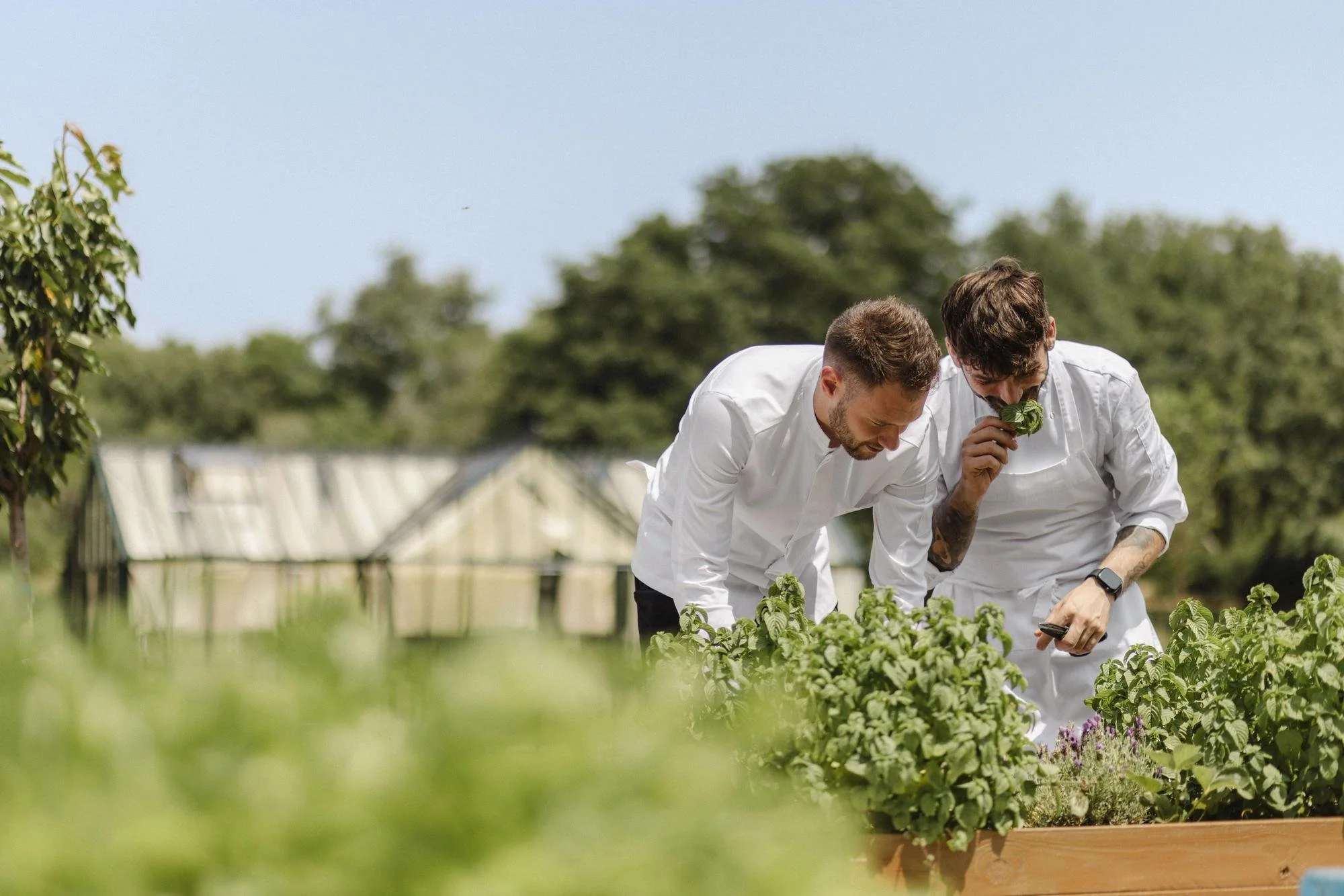 32-culinary-team-tending-the-estate-garden.jpg