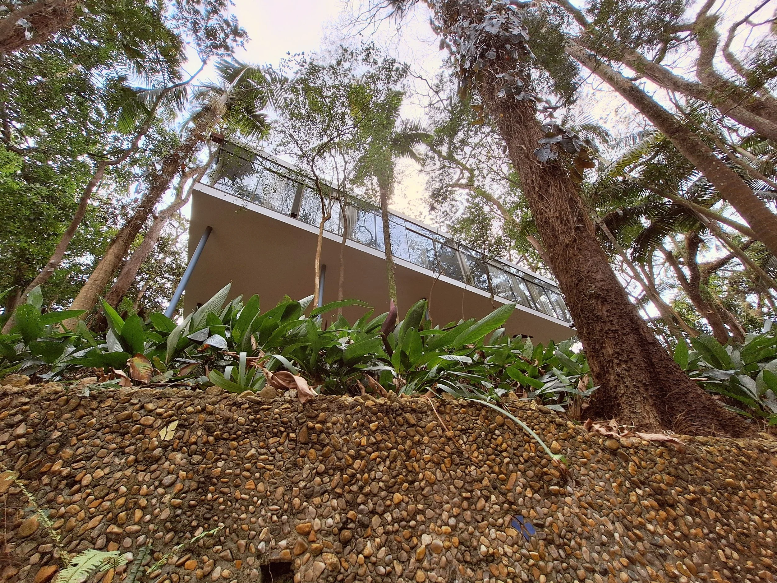 39-casa-de-vidro-in-morumbi.jpg