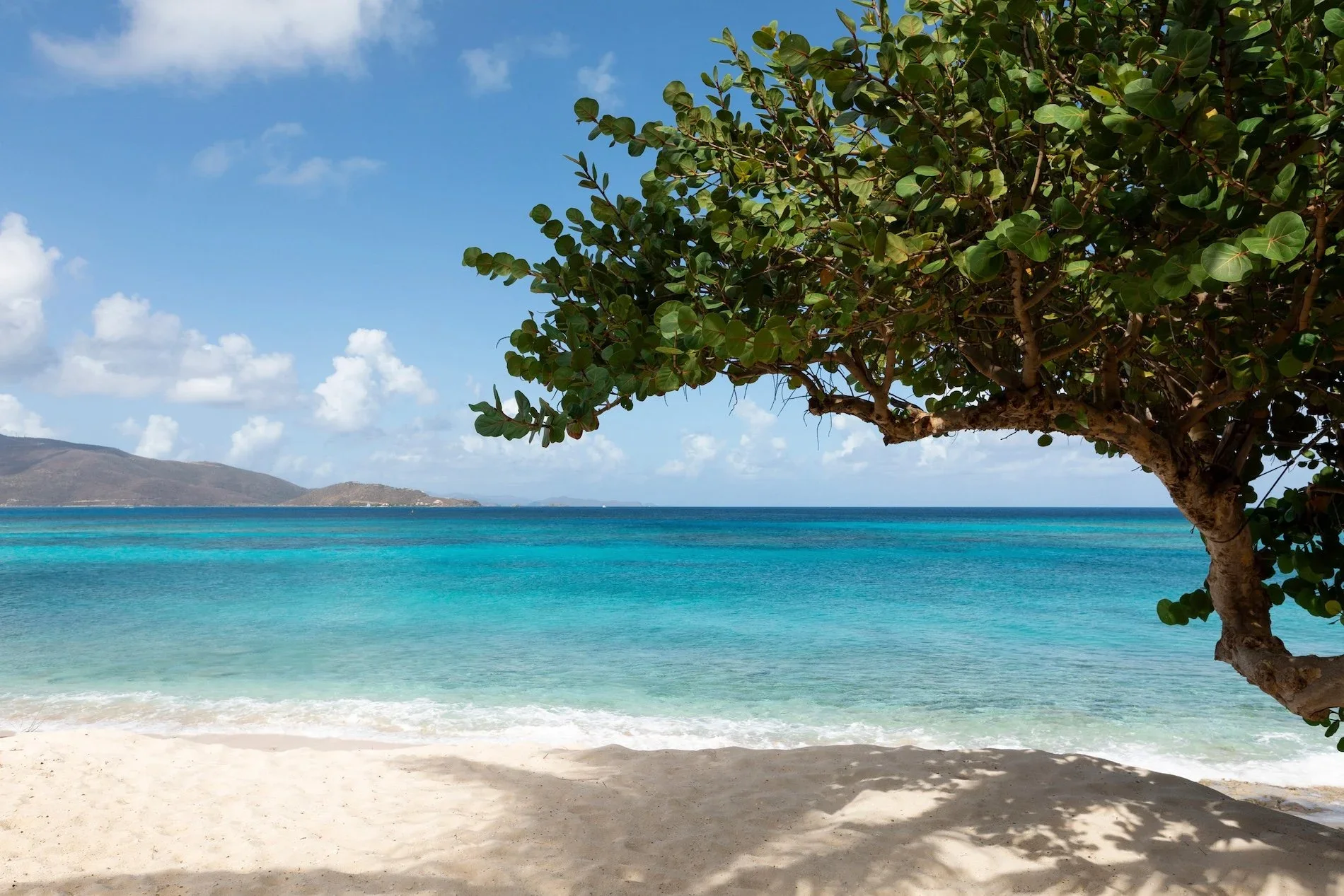 Necker+Island+-+Beach+(2).JPG.webp