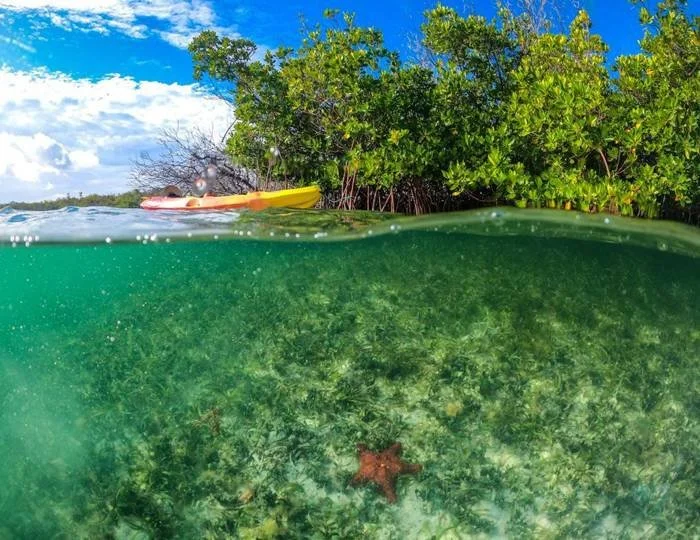 groundseaadventures-photo-credit-to-alex-dick-reid2.jpeg