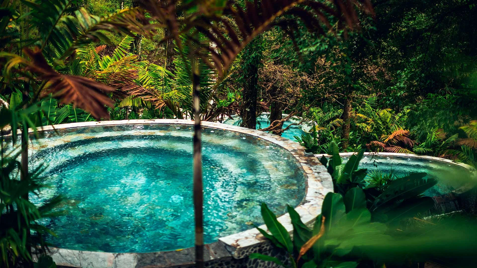 20-thermal-pool-surrounded-by-vegetation.jpg