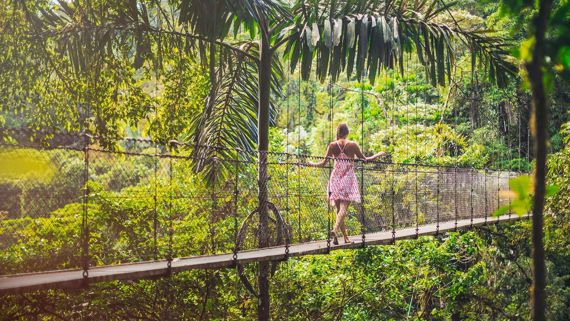 34-hanging-bridge-in-the-rainforest.jpg