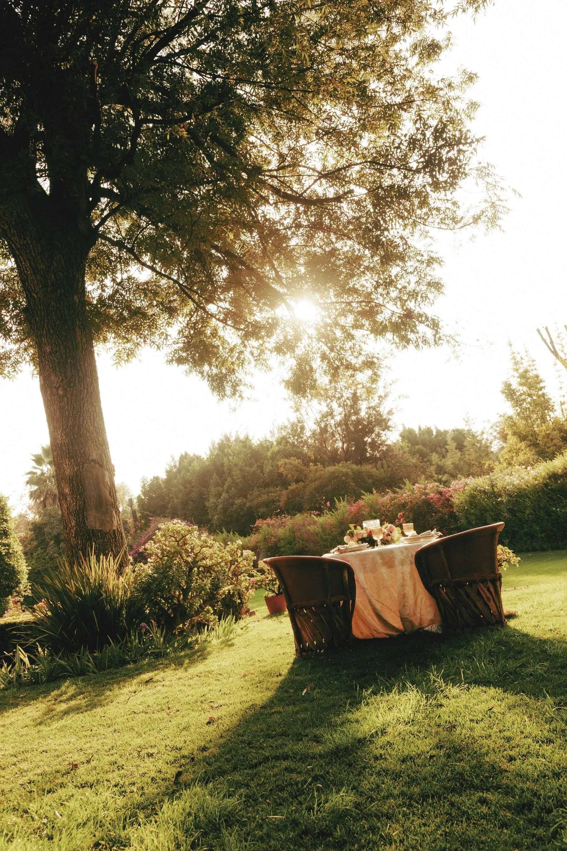 35-private-dining-setting-in-the-hotel-garden.jpg