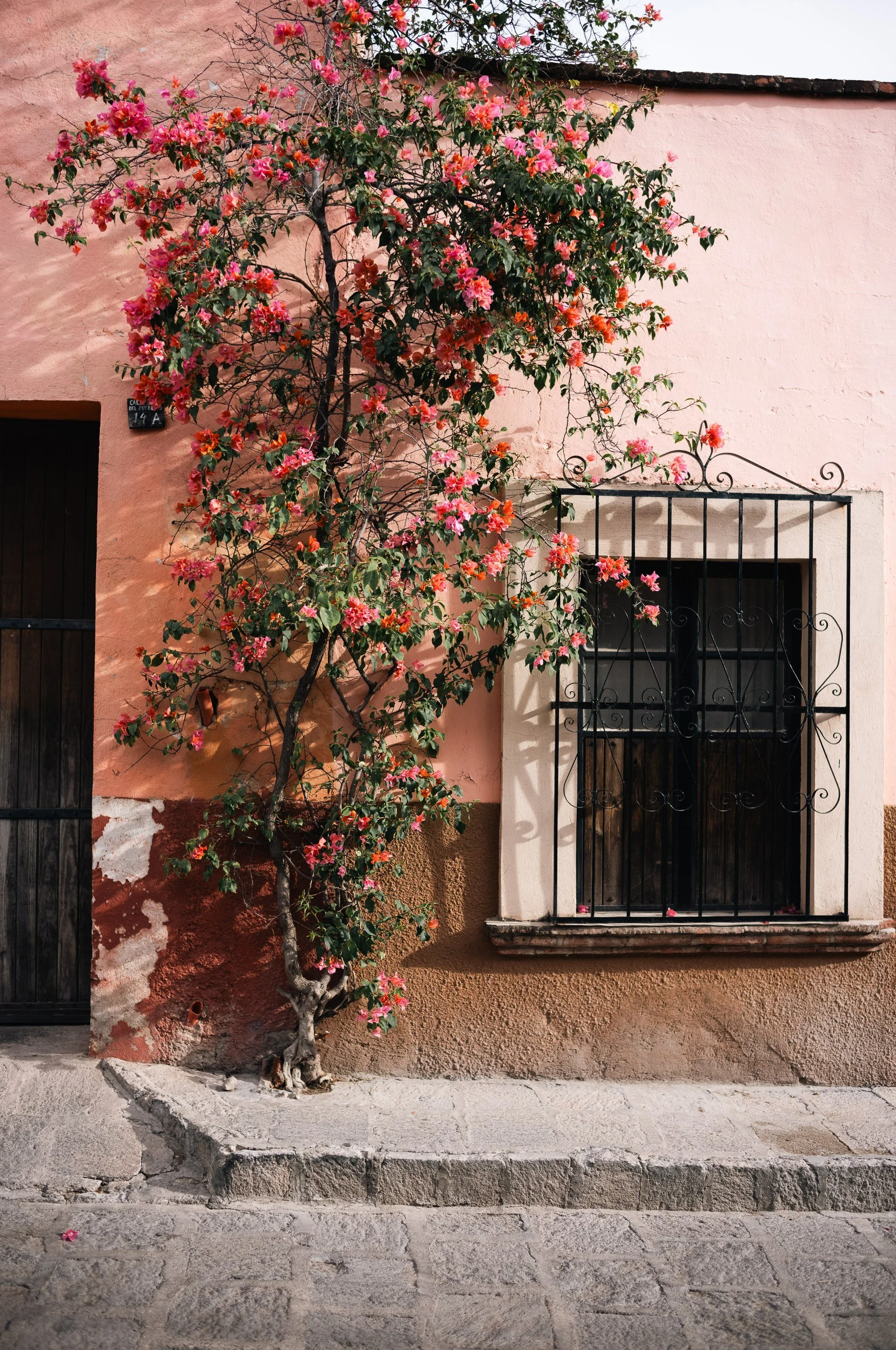 38-san-miguel-de-allende-doorway-and-bougainvillea.jpg