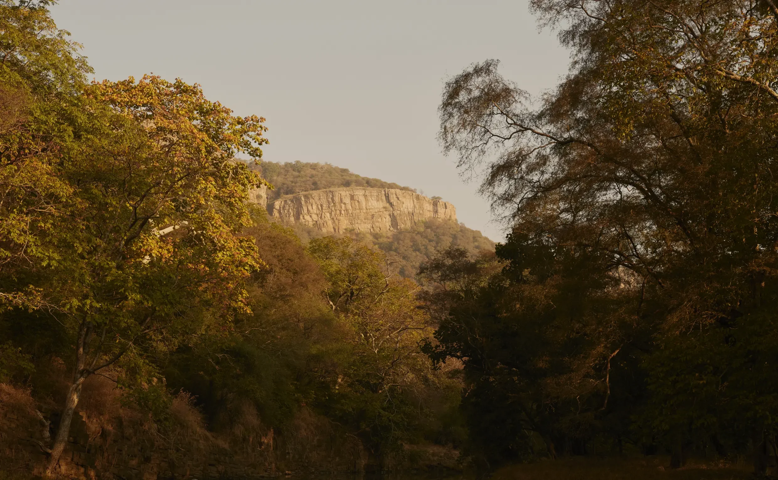 Aman-i-Khás Safari_0.webp