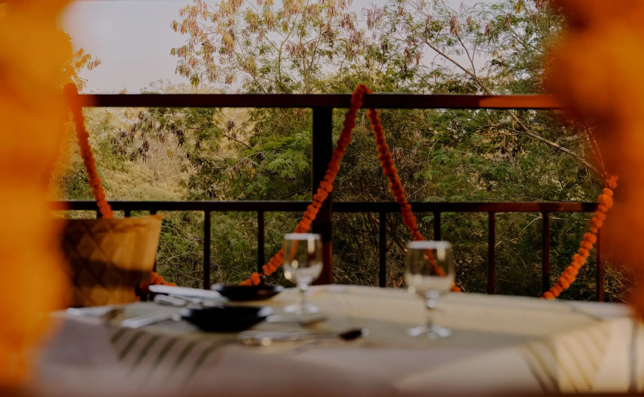 Aman-i-Khas, India - Experience, Machan Dinner 3.webp