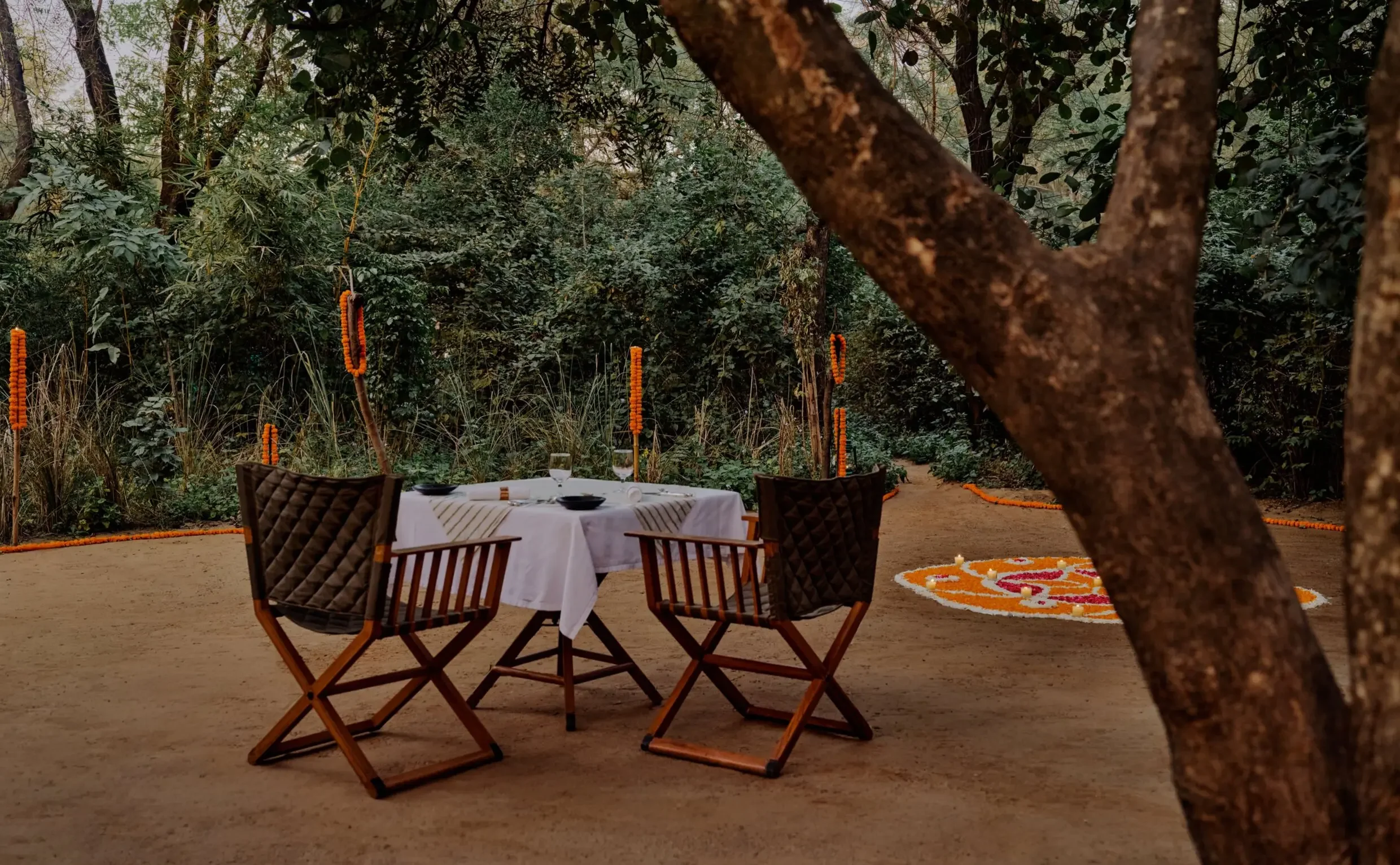 Aman-i-Khas, India - Experience, Forest Dinner.webp