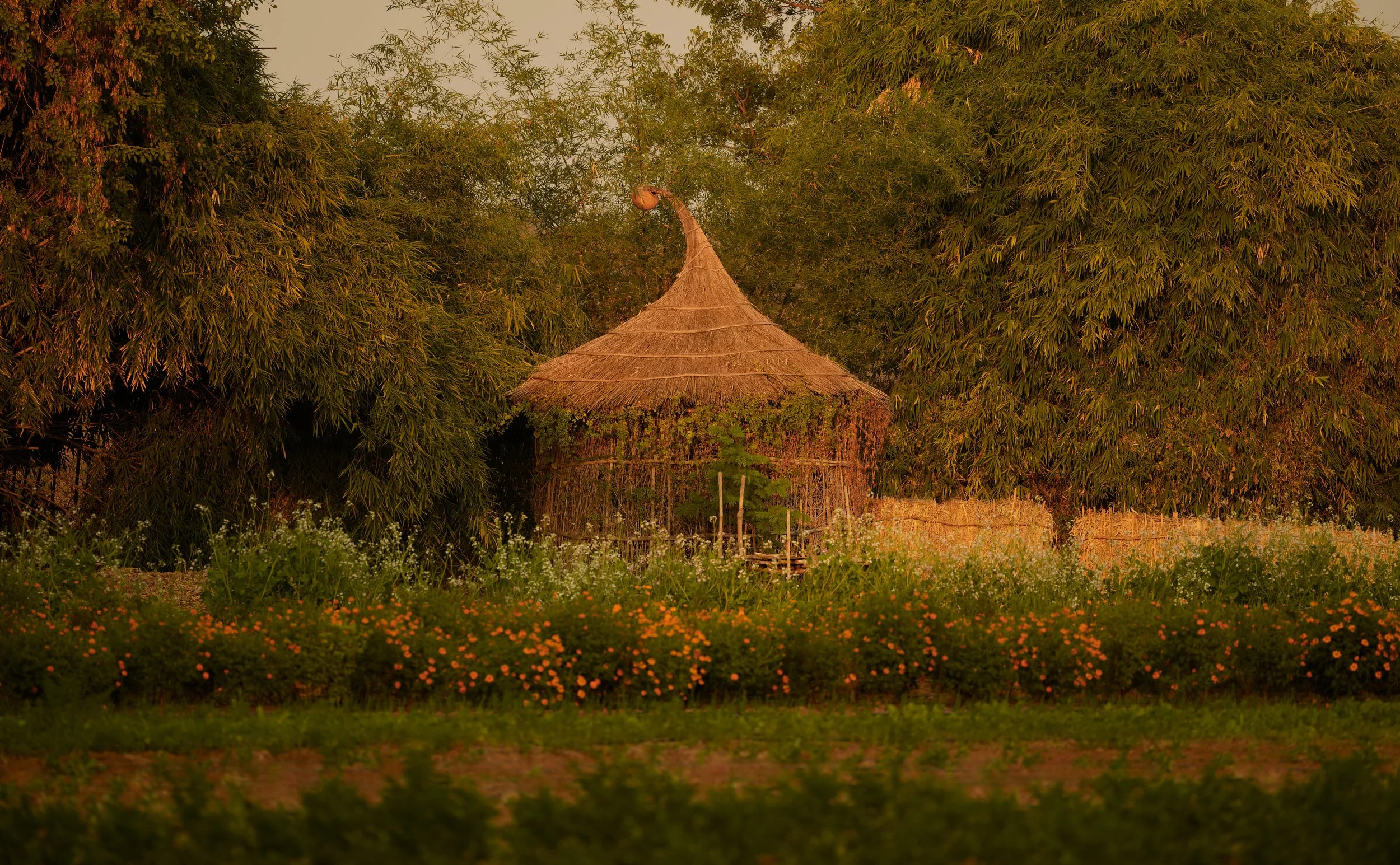 Aman-i-Khas-Garden_0.jpg