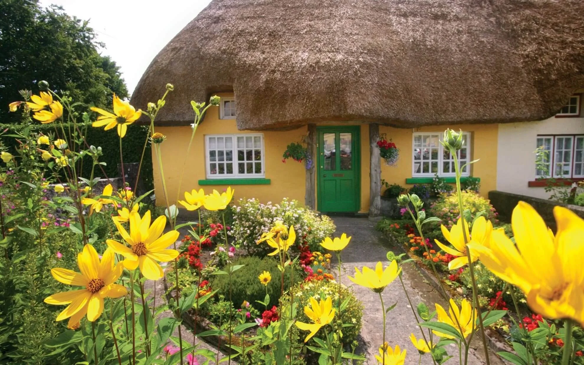 03-Adare-Village-Thatched-Cottage.jpg