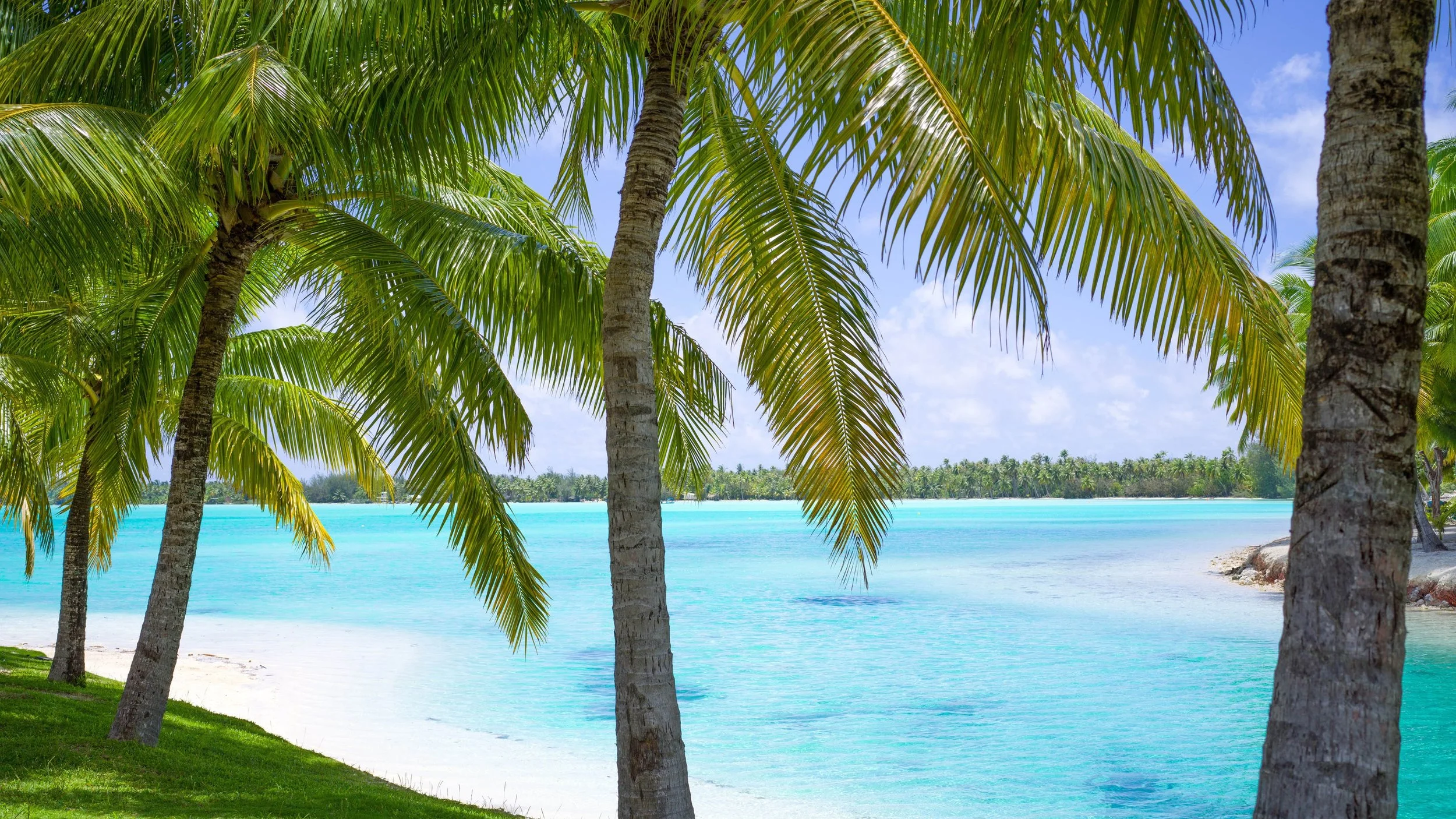 08-St-Regis-Bora-Bora-Palm-Shaded-Resort-Shoreline.jpg