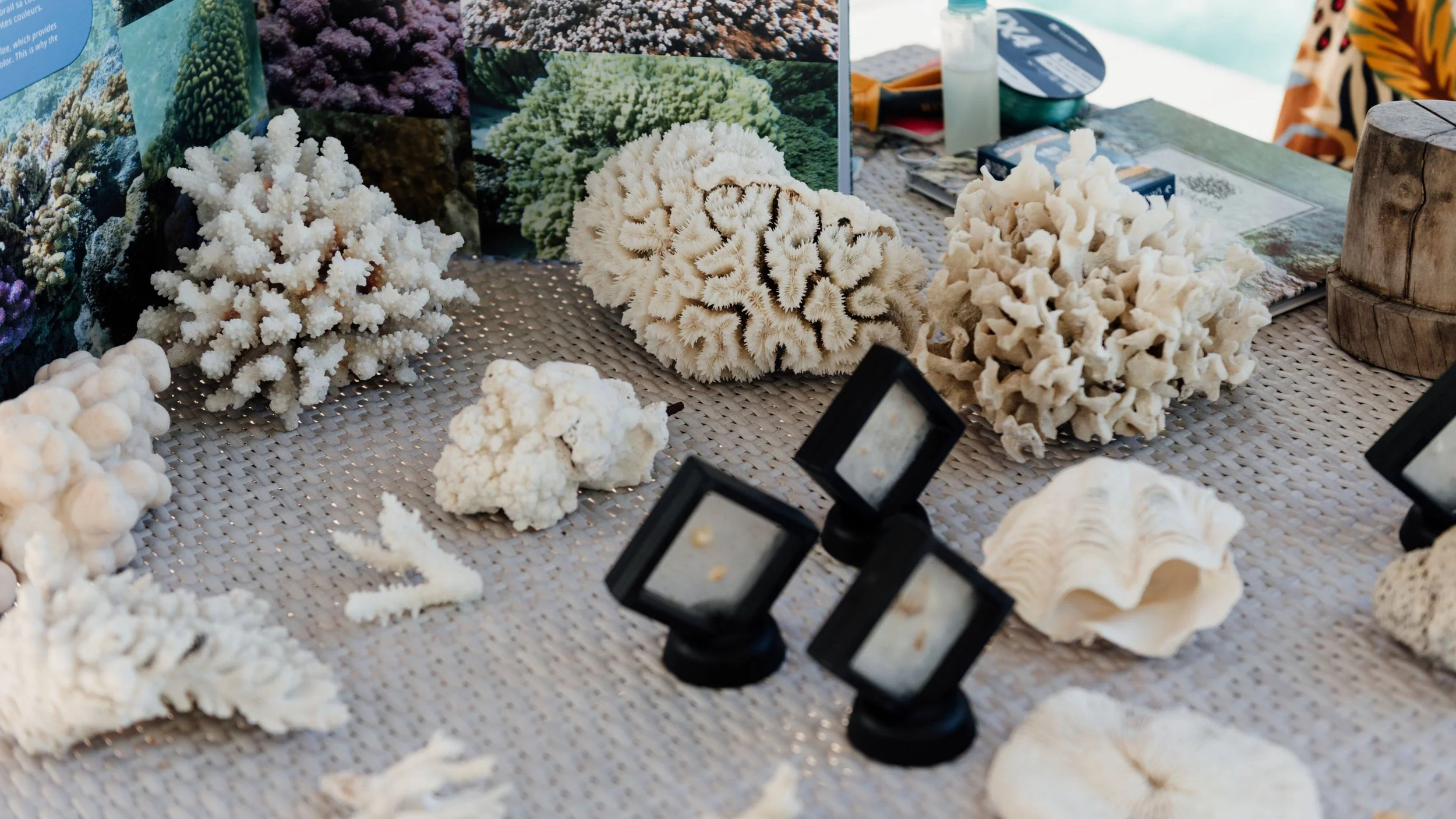 33-St-Regis-Bora-Bora-Natura-Ora-Coral-Workshop-Materials.jpg