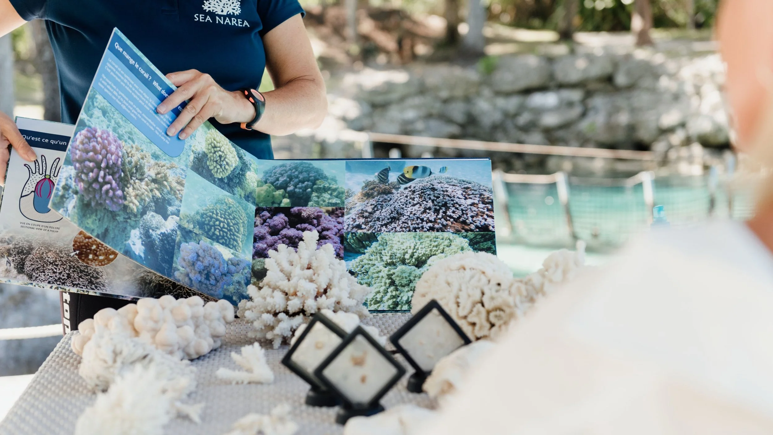 34-St-Regis-Bora-Bora-Natura-Ora-Coral-Education-Session.jpg
