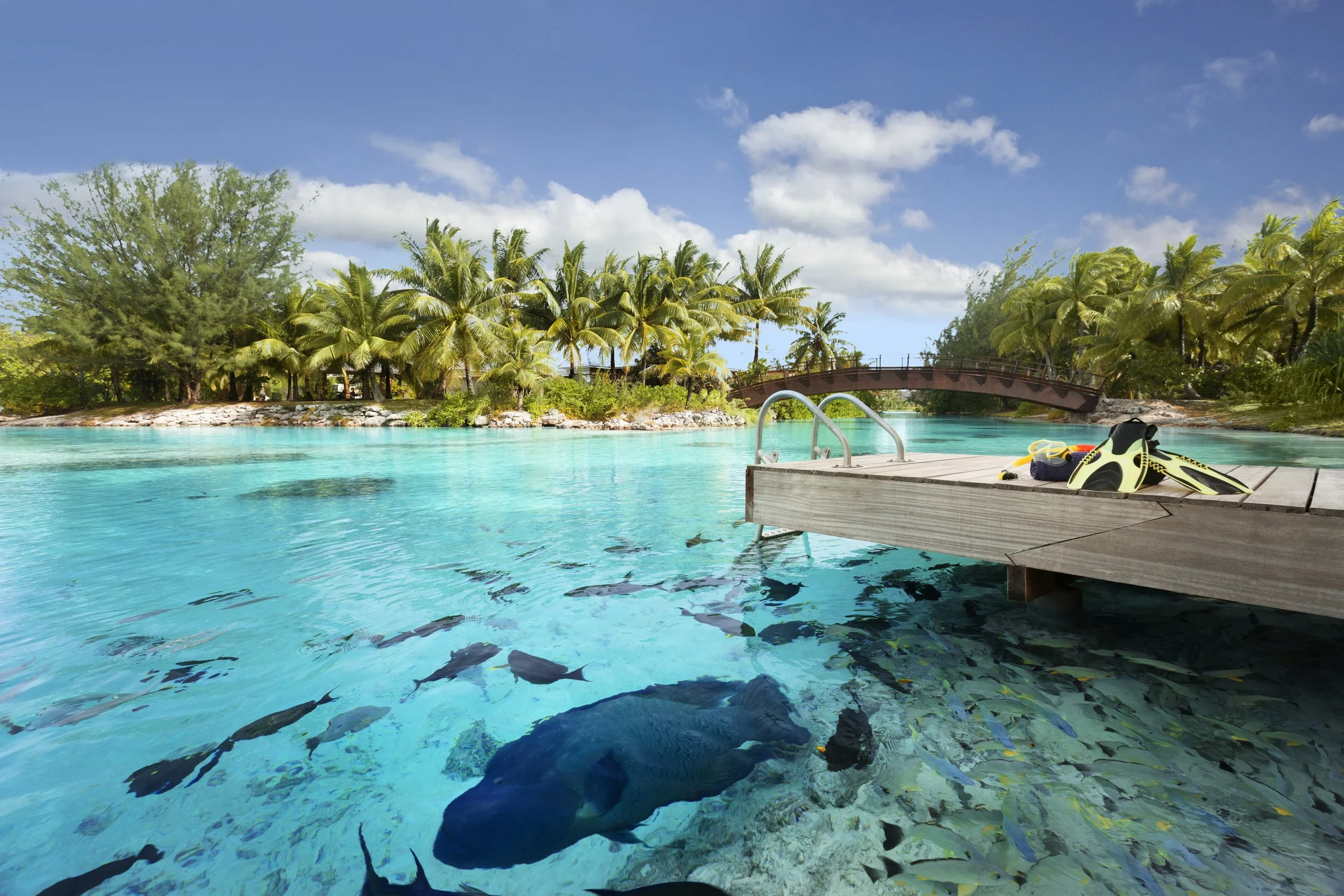 35-St-Regis-Bora-Bora-Lagoonarium-Fish-and-Snorkeling-Pontoon.jpg