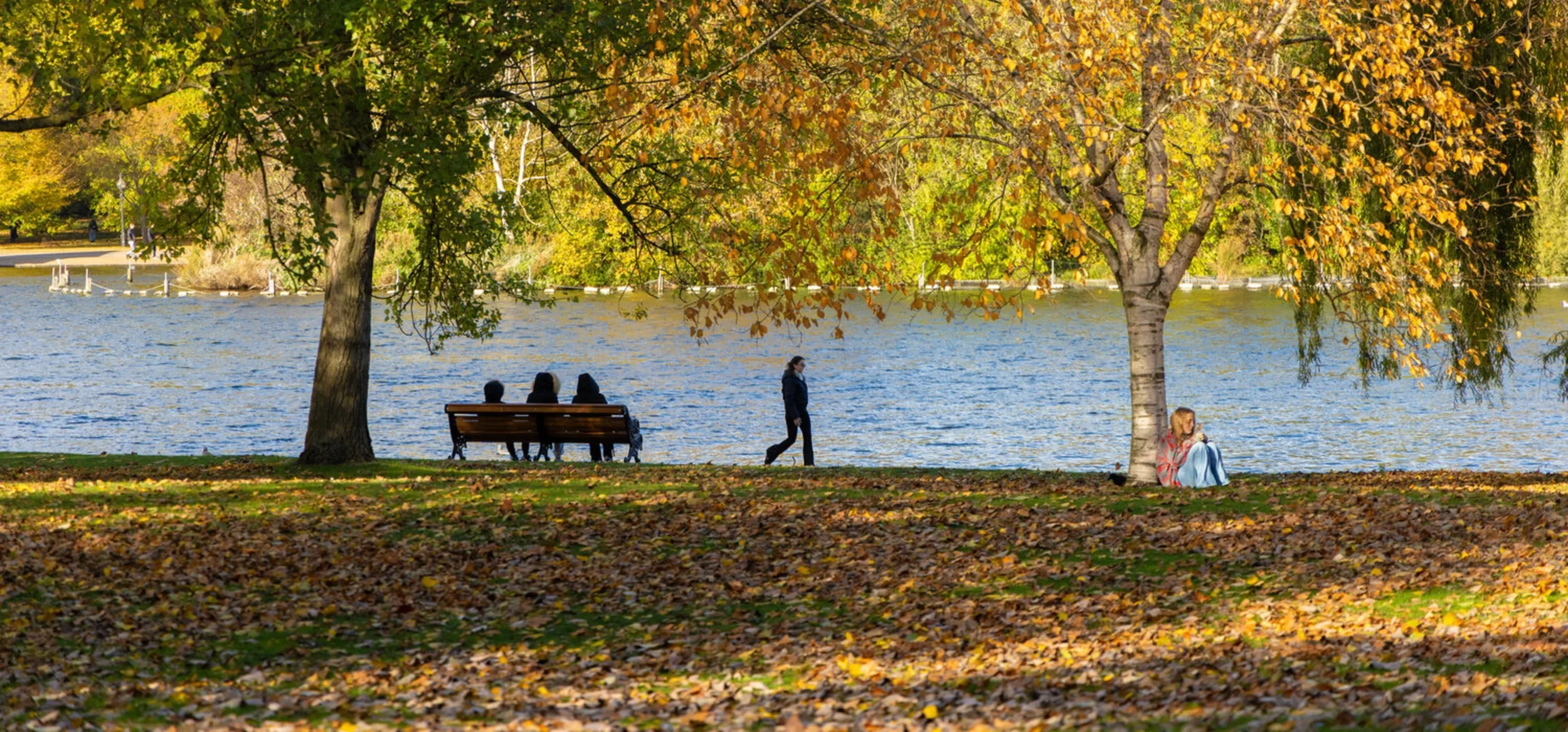 Autumn in the royal parks Hyde Park.jpg.webp