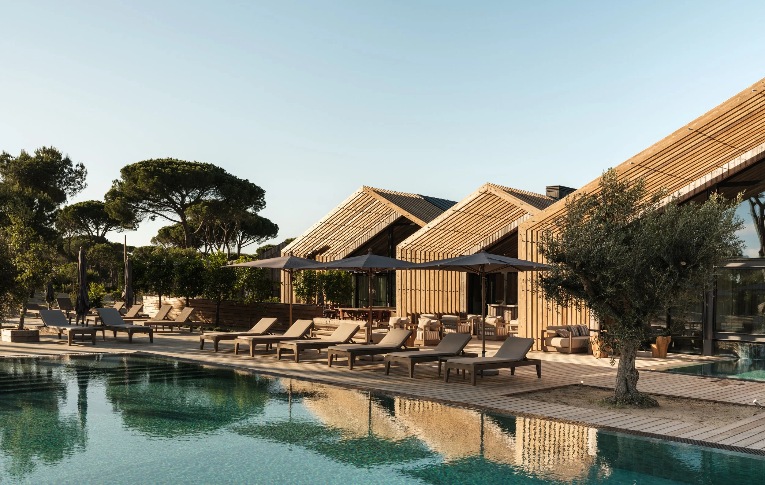 01-Sand-Aqua-Pool-and-Timber-Facade.jpg