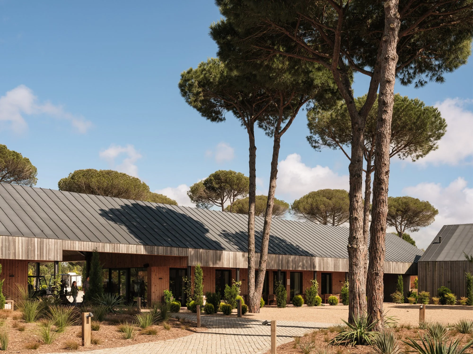 03-Sand-Atrium-Exterior-and-Pine-Trees.jpg