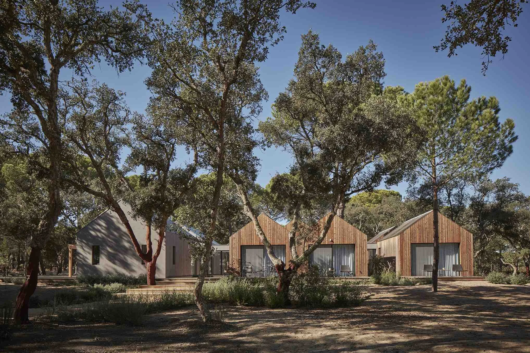 08-Terracotta-3-and-5-Bedroom-Cabana-Villas-Representative-Garden-Exterior.jpg