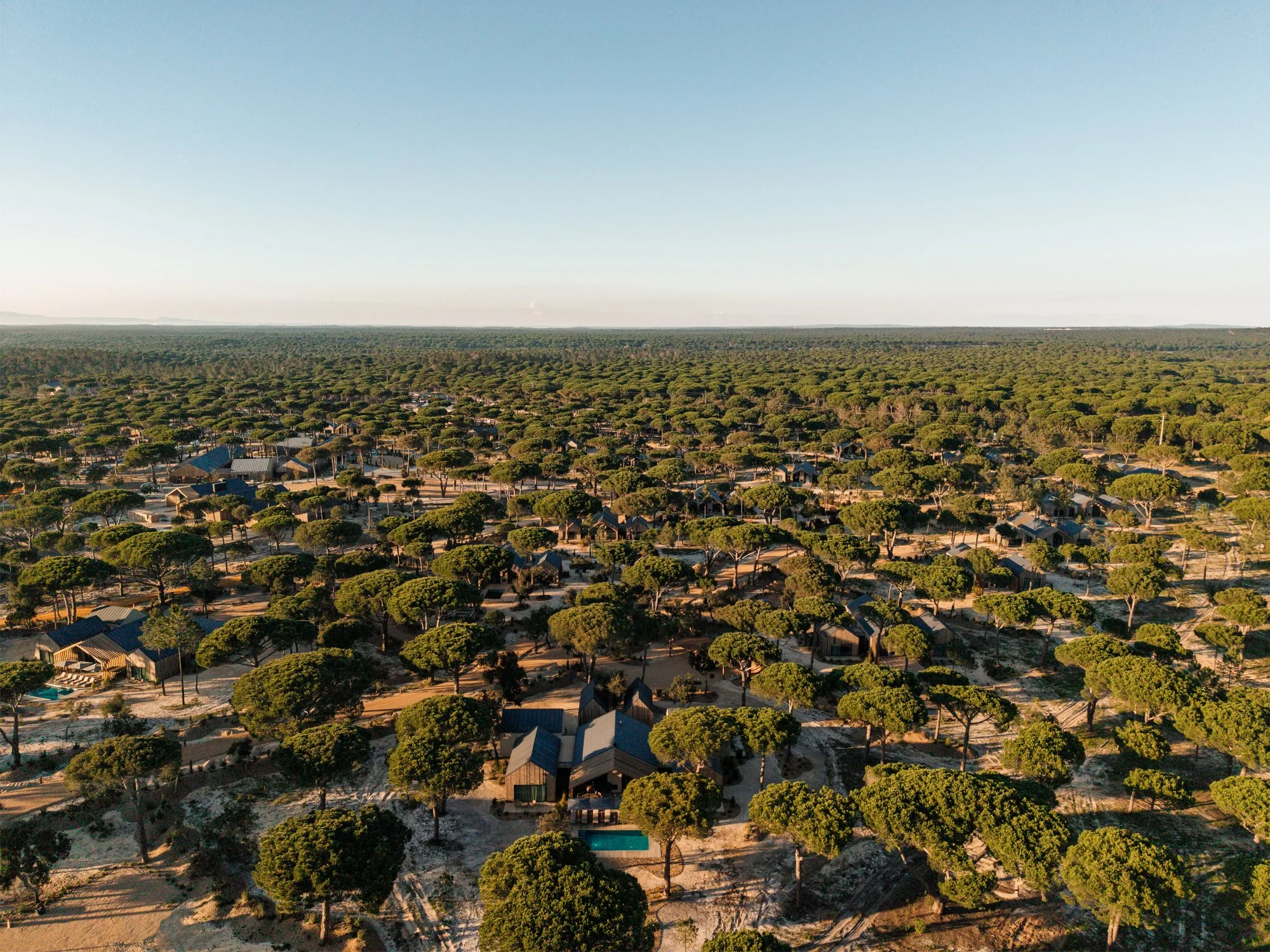 09-Sand-Resort-Aerial-and-Pine-Canopy.jpg