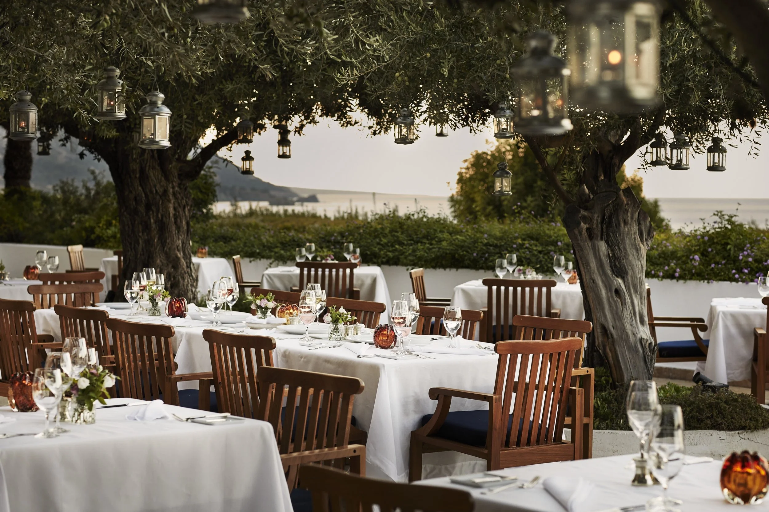 05-Anassa-Helios-Olive-Tree-Dining.jpg