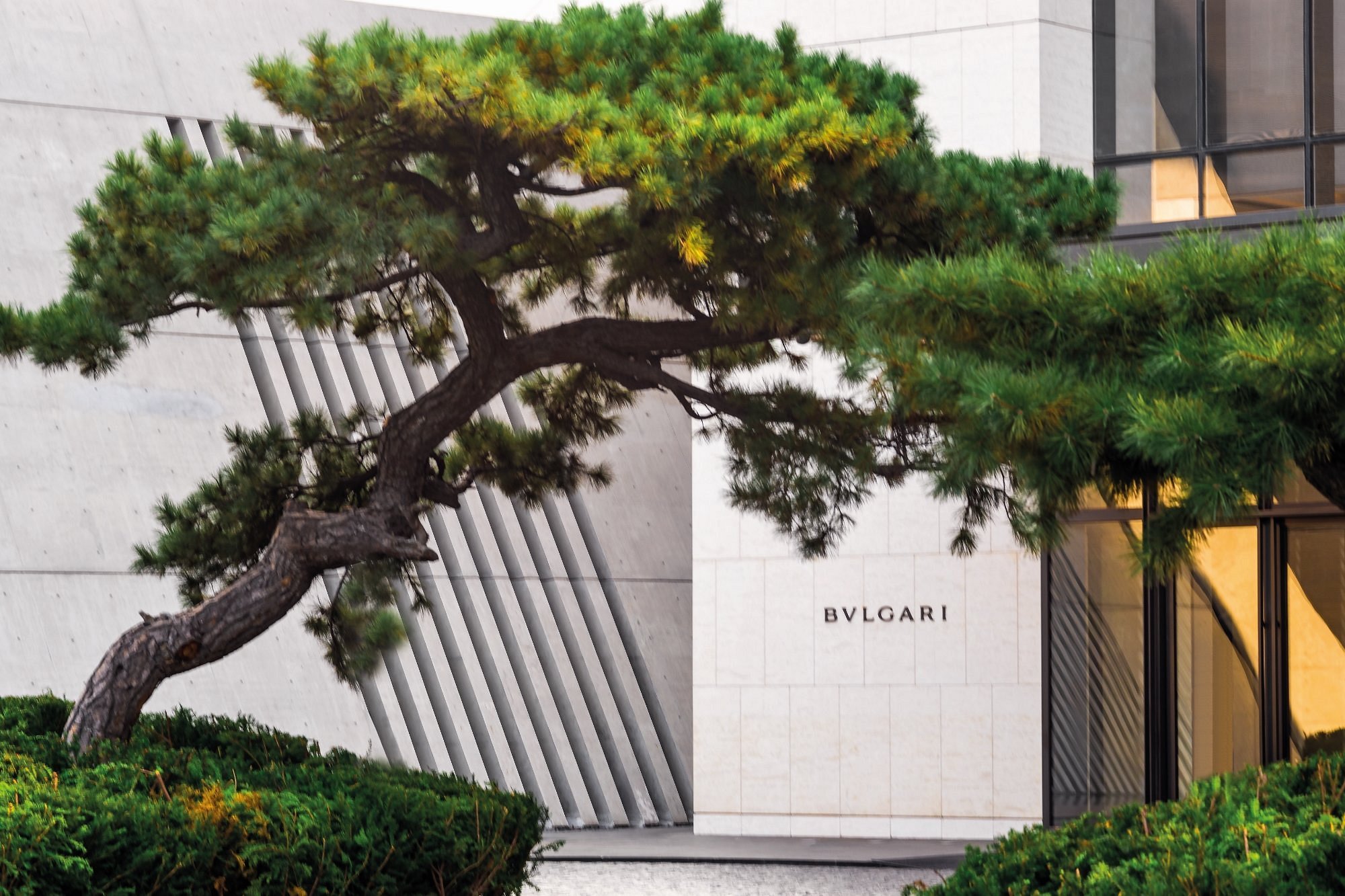 the-bulgari-hotel-beijingcfs.jpg