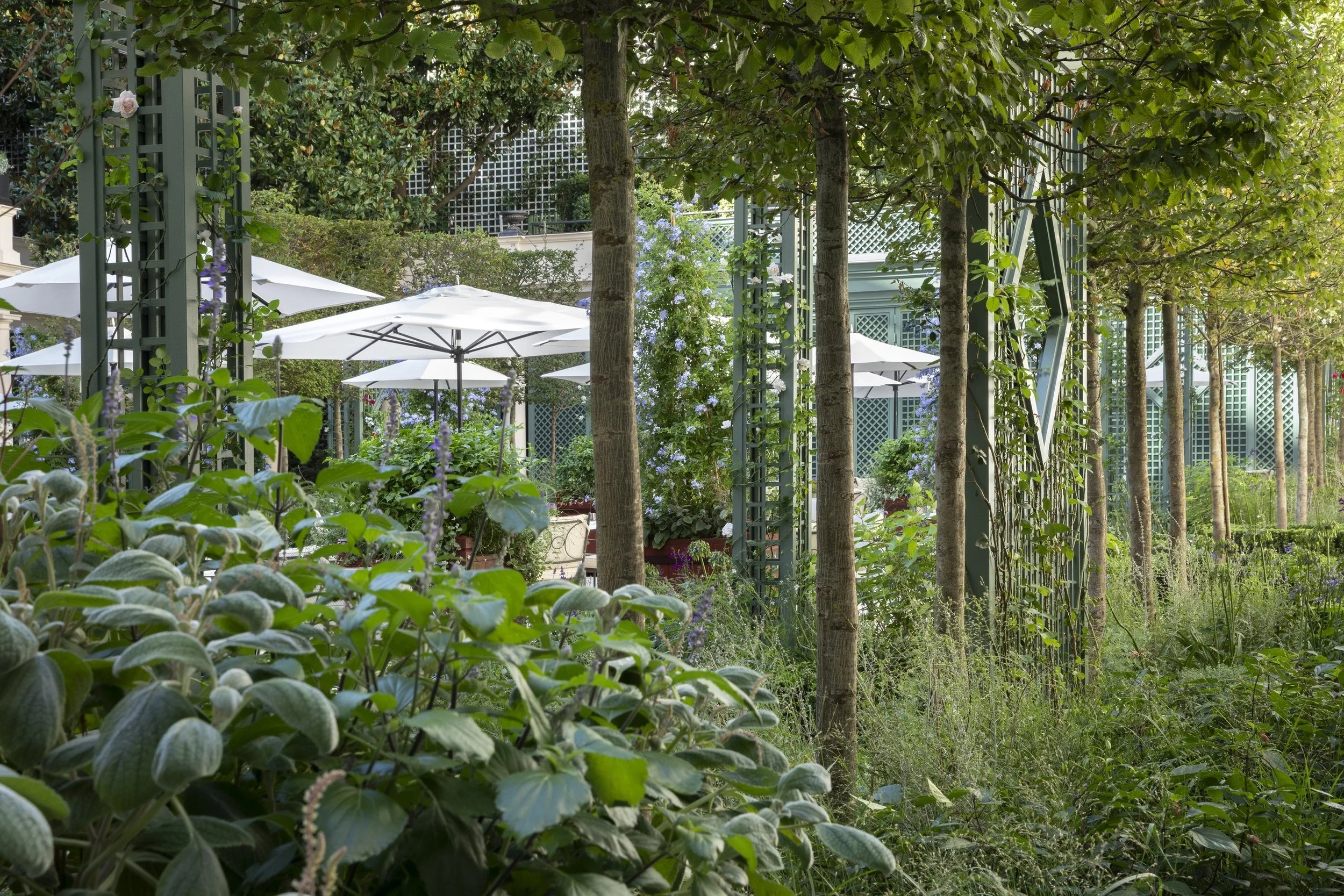 Garden-Planting-in-Leaf.jpg